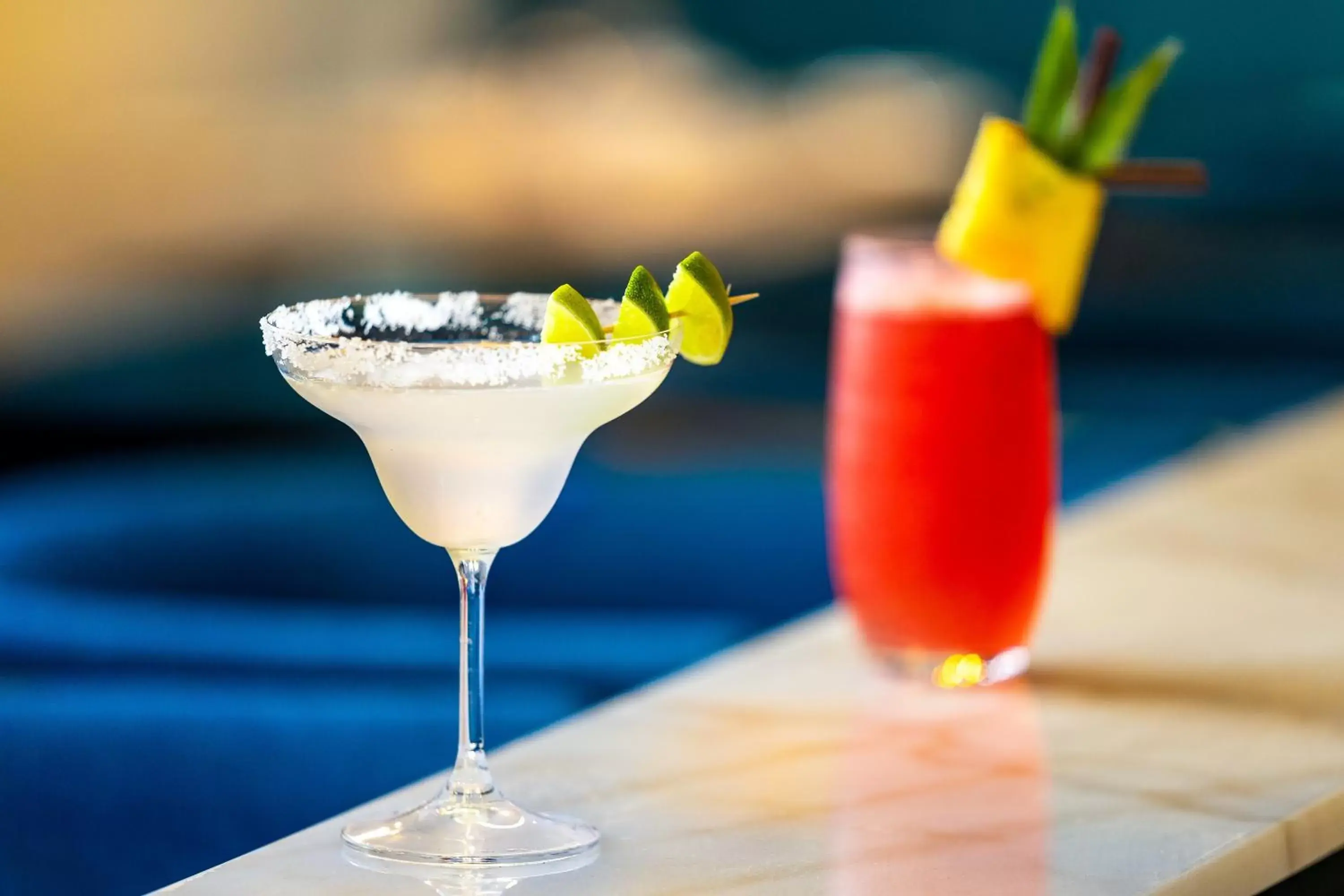 Lounge or bar in Blanc Smith Residence Lounge or bar in Blanc Smith Residence