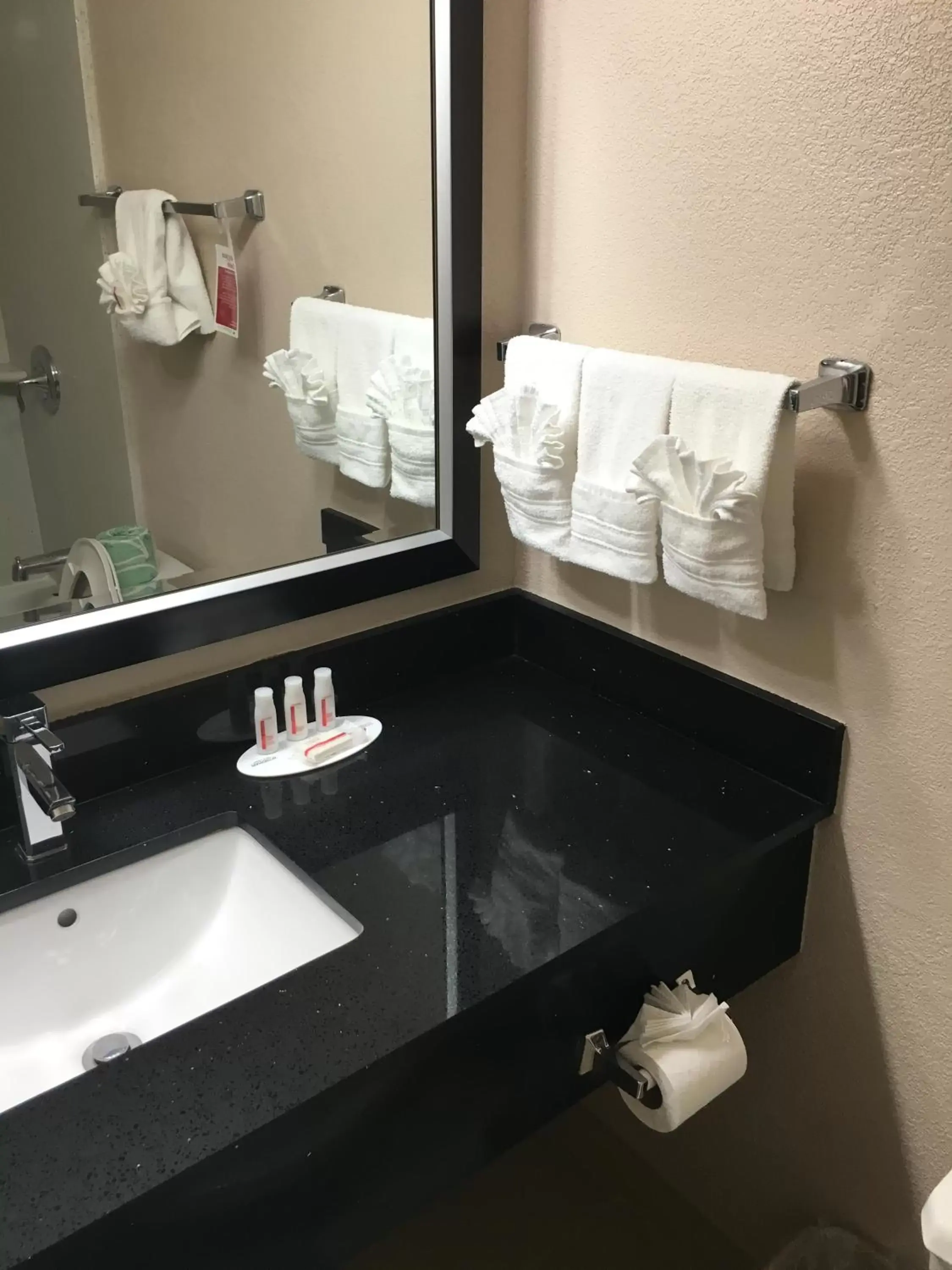 Other, Bathroom in Ramada Plaza by Wyndham Charlotte South End Airport