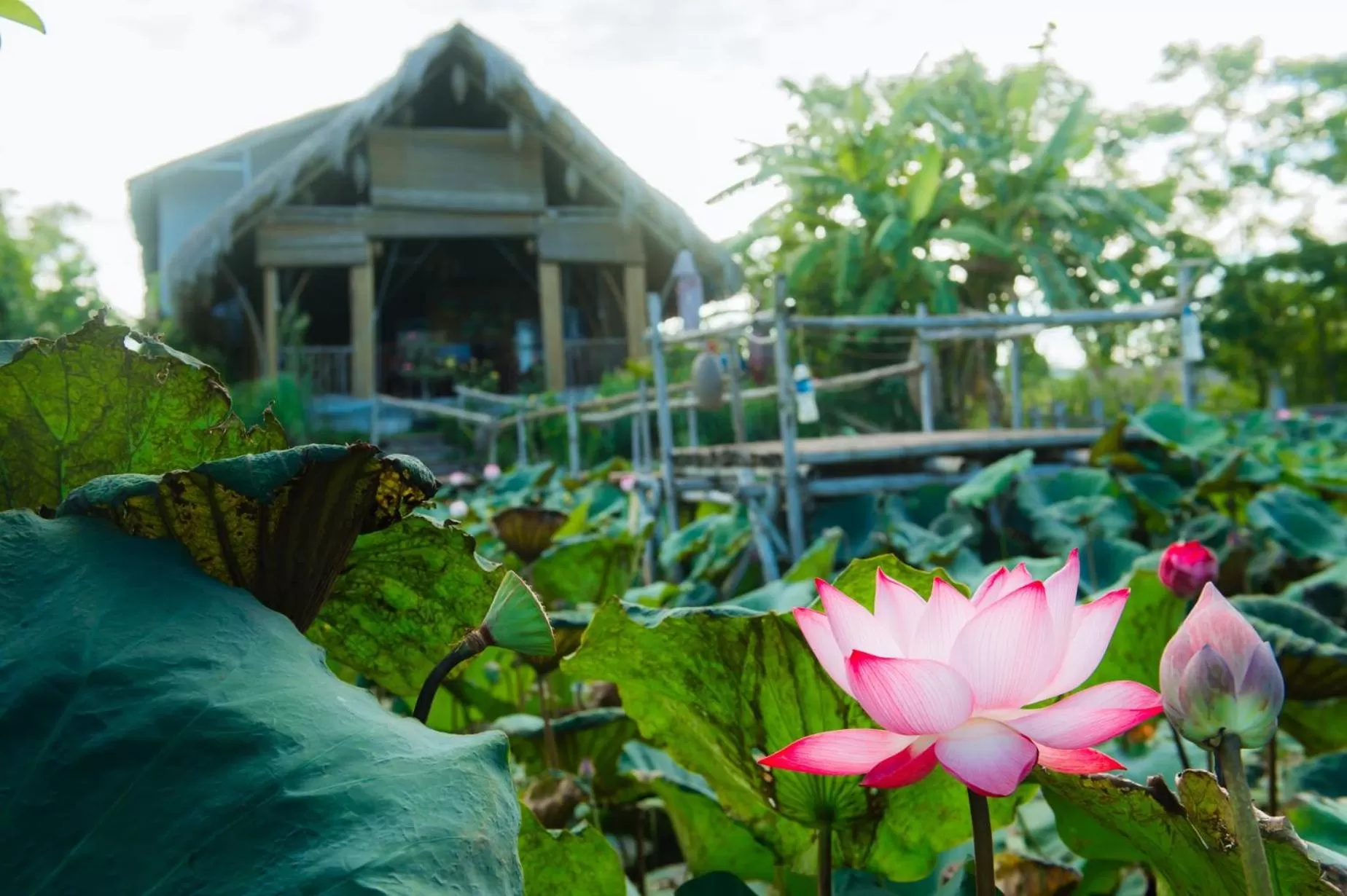 Property building in Nan House - Tam Coc
