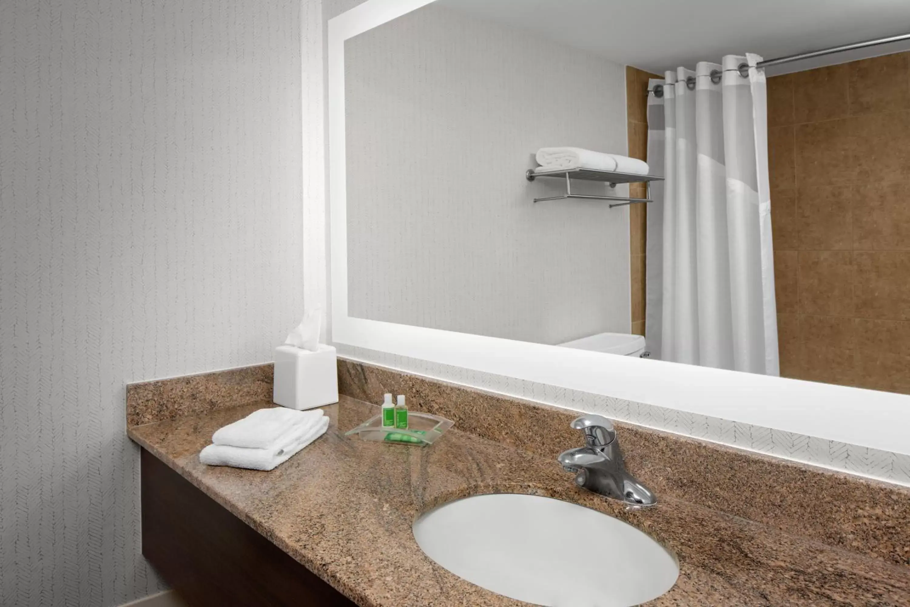 Bathroom in Holiday Inn Hasbrouck Heights-Meadowlands, an IHG Hotel