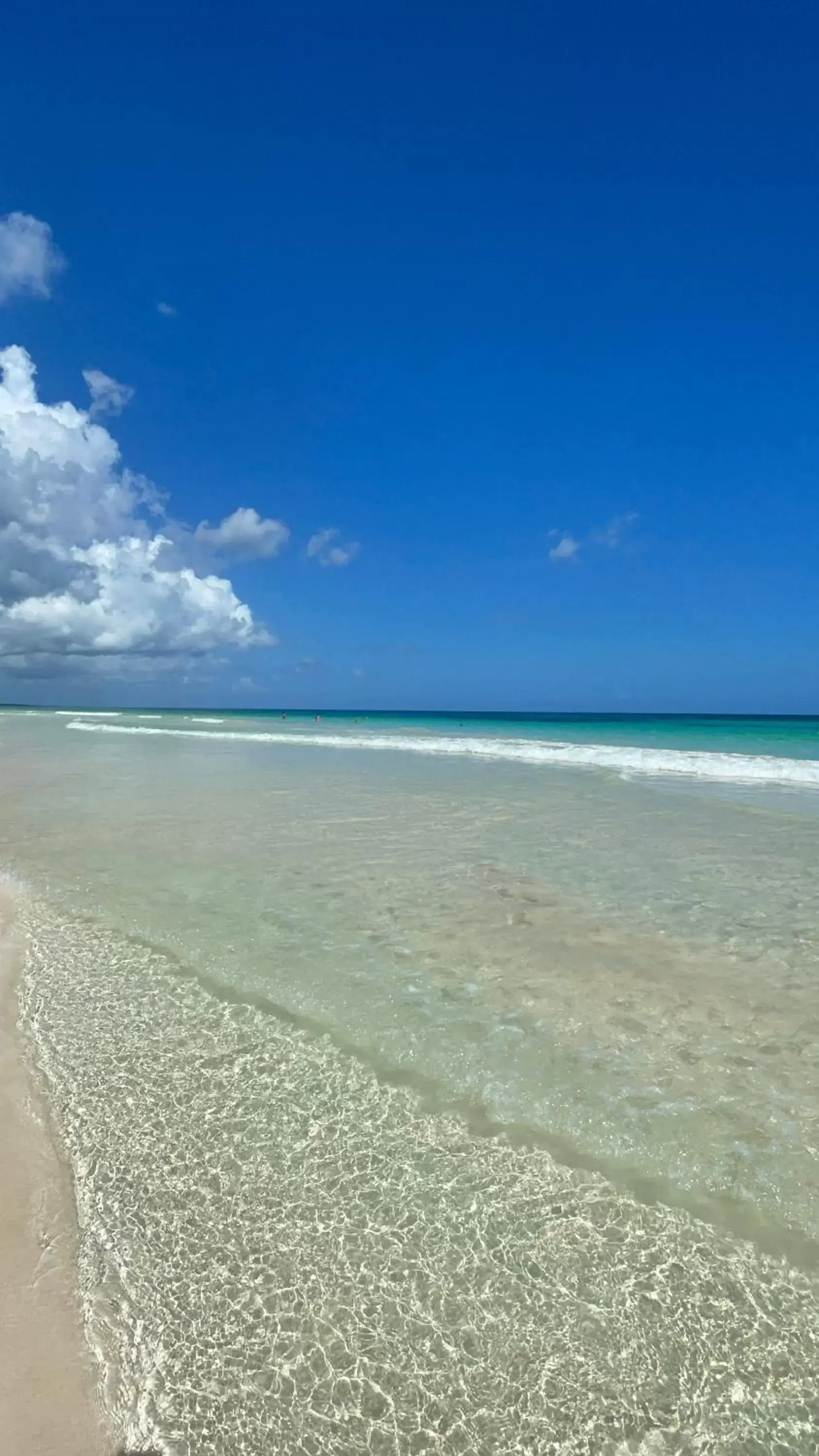 Beach in Sueños Tulum