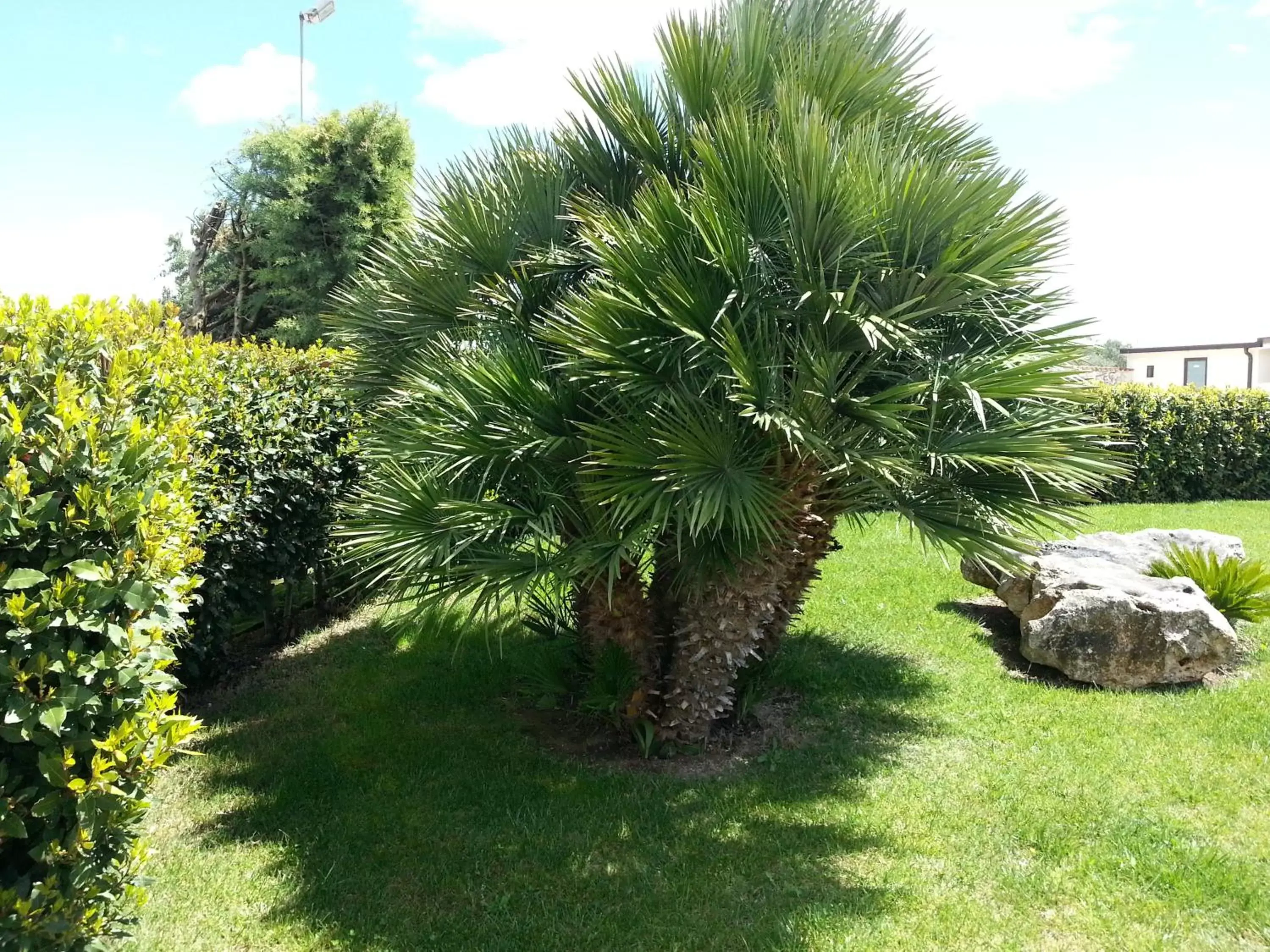 Garden in Villa Genny