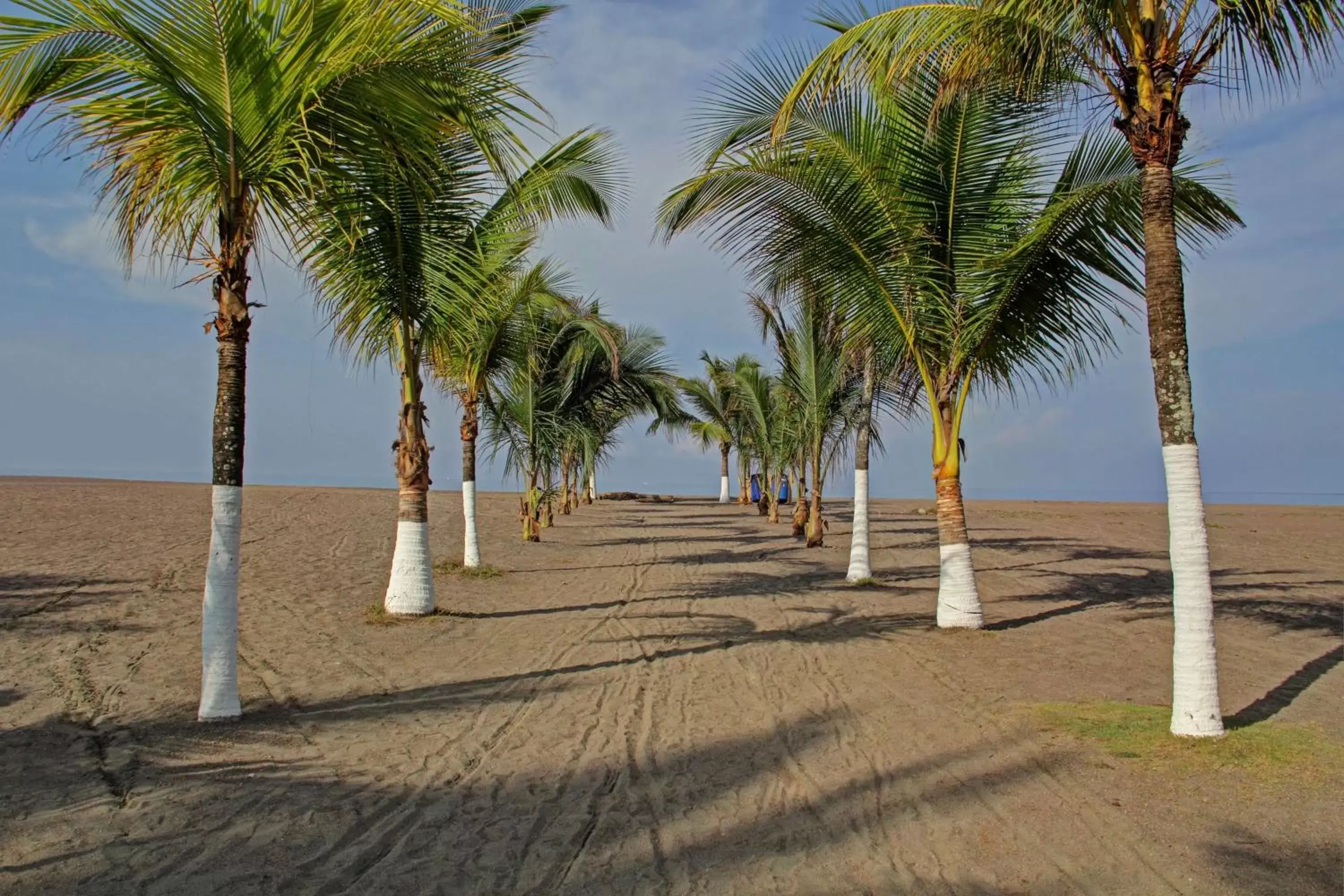 Beach in Best Western Jaco Beach All Inclusive Resort