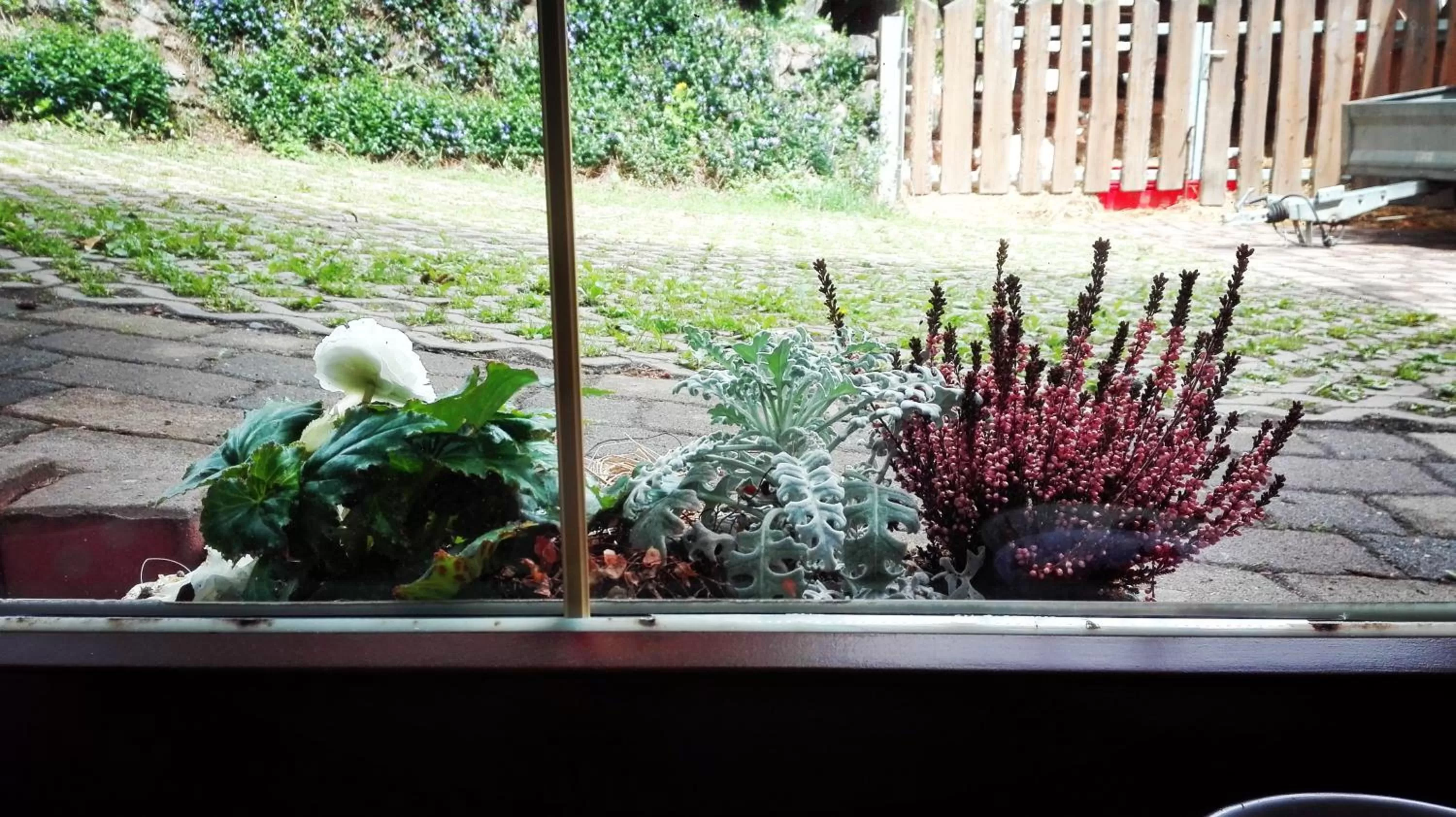 Gästezimmer Familie Müller