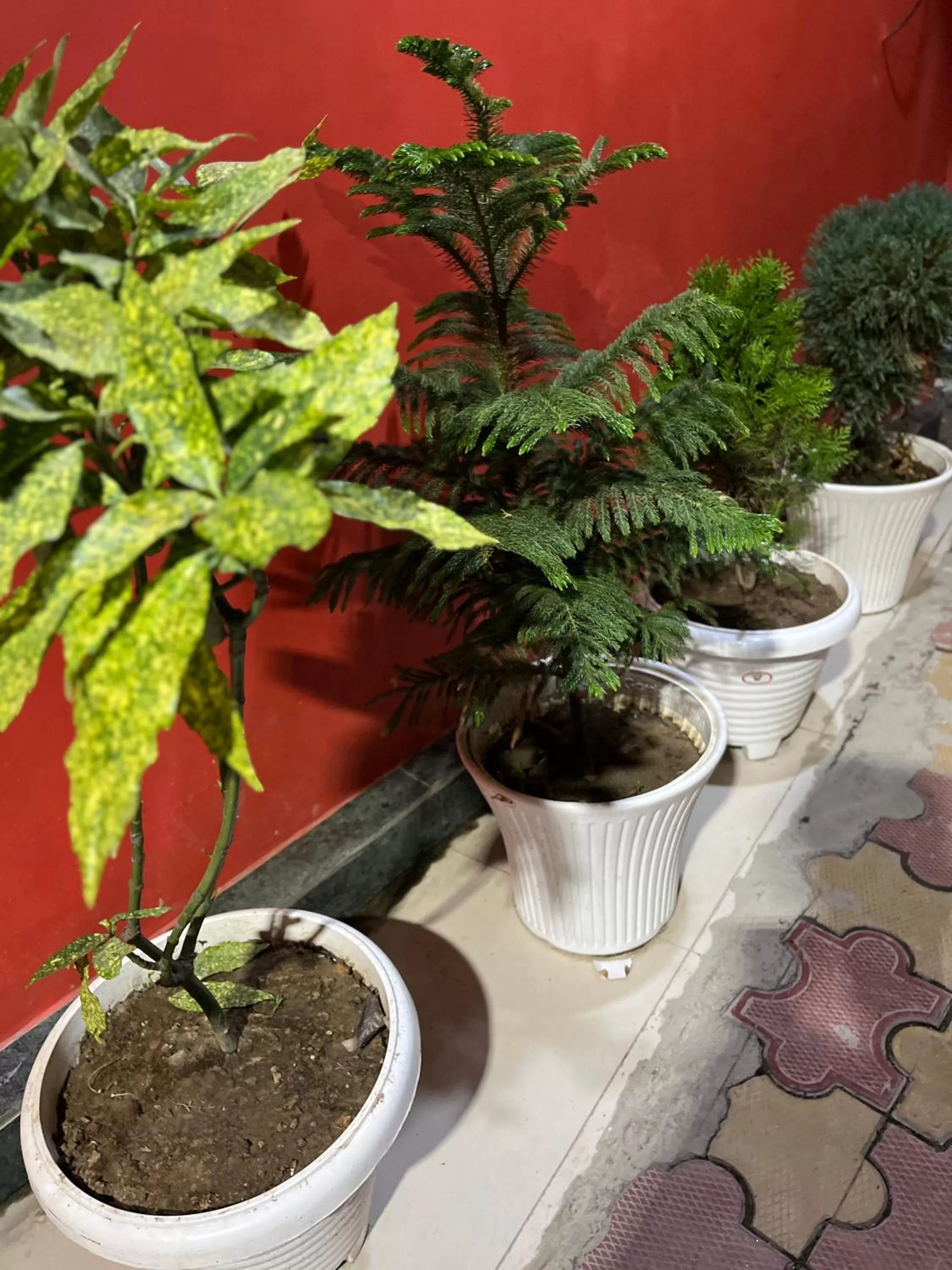 Property building in Hotel Crescent