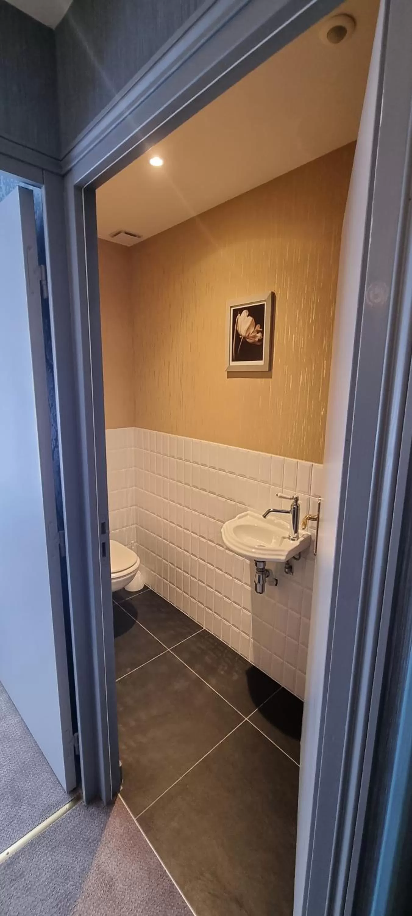 Toilet in Hotel Meurice