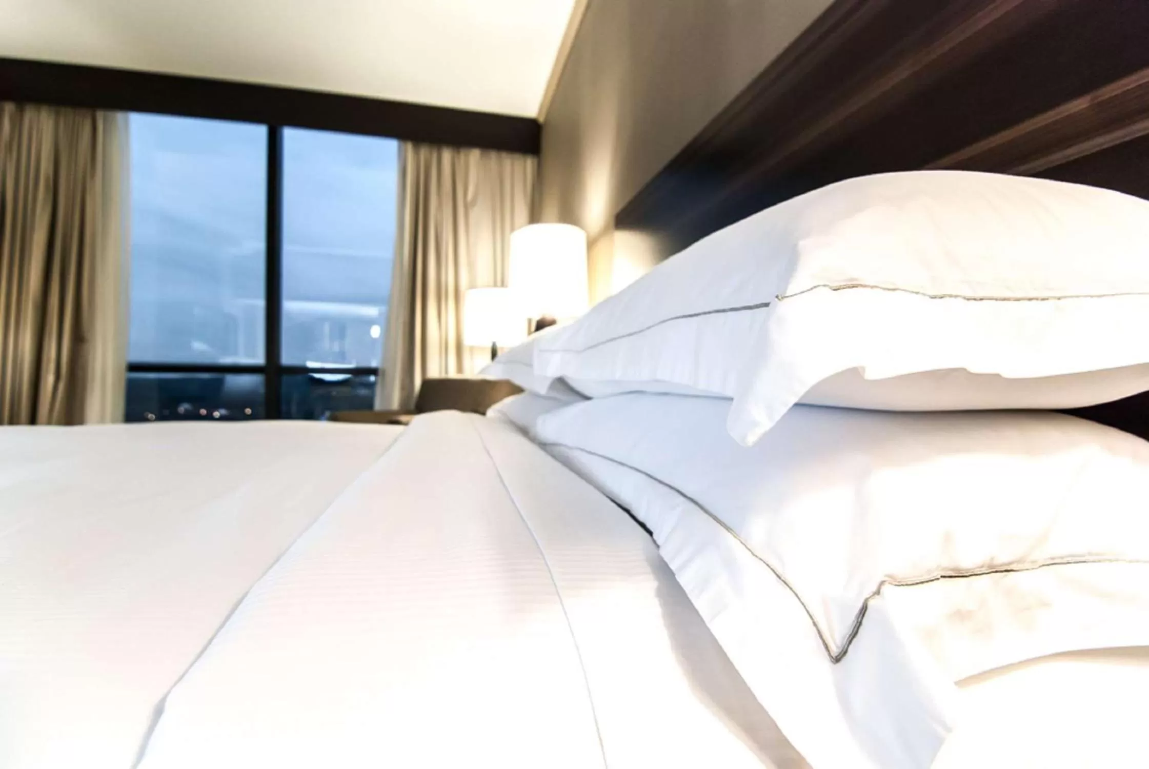 King Room with Roll-In Shower - Disability Access in Hilton Charlotte University Place