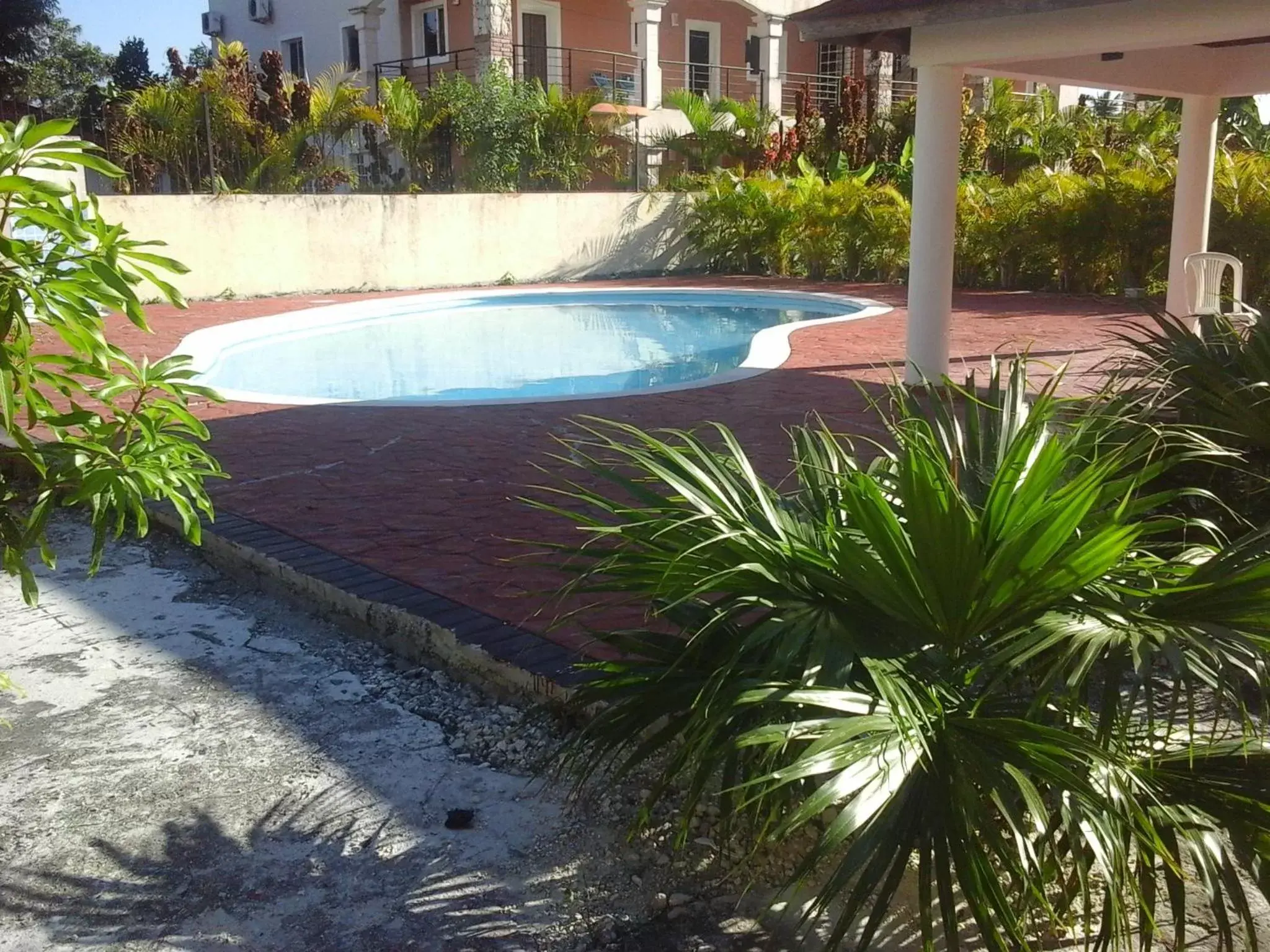 Swimming Pool in Nely y Pietro share apartment