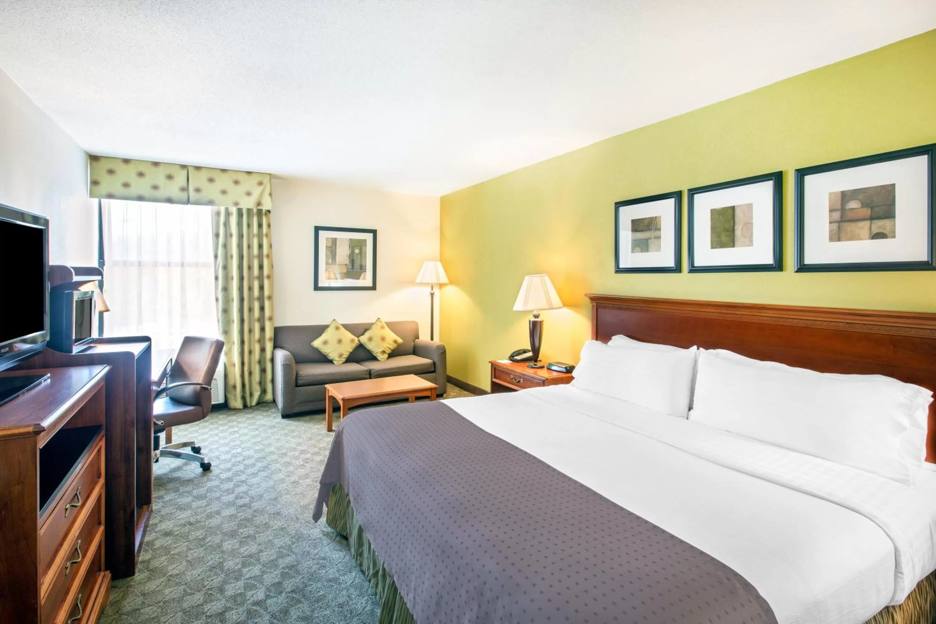 King Room with Bath Tub - Disability Access/Non-Smoking  in Holiday Inn Roanoke - Tanglewood Route 419 & I 581, an IHG Hotel