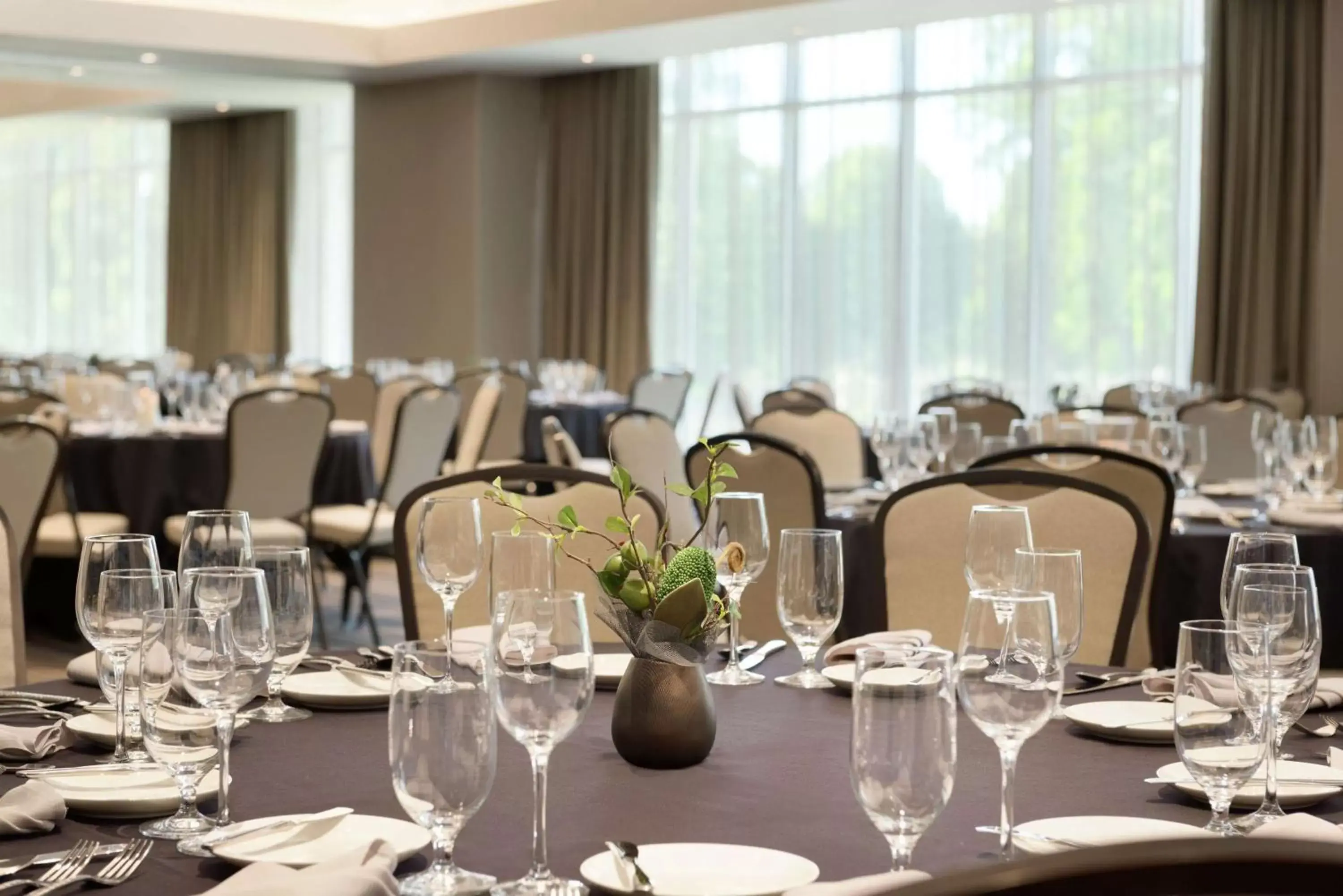 Meeting/conference room, Restaurant/Places to Eat in Hilton Garden Inn Rochester - University & Medical Center