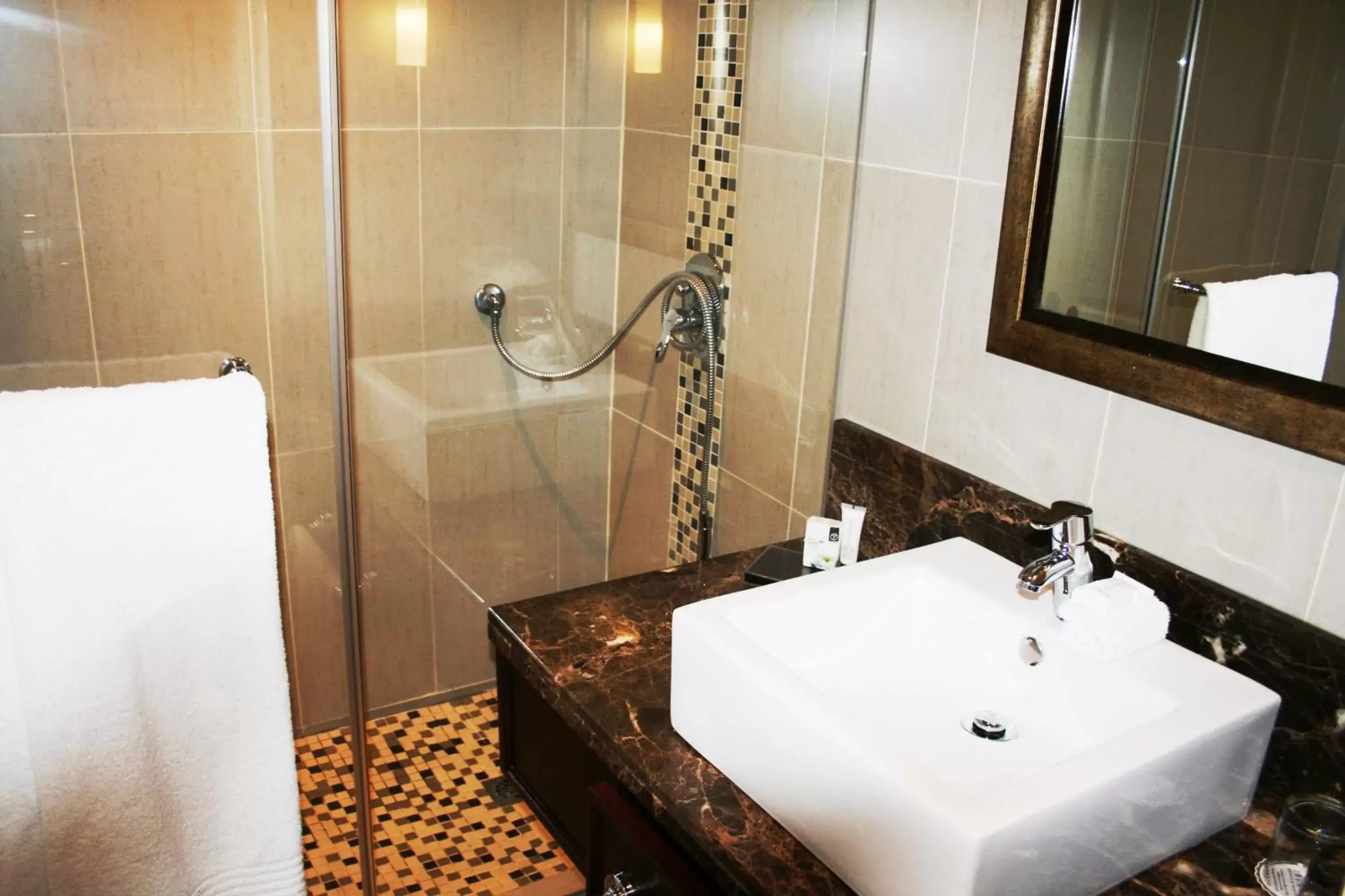 Bathroom in Premier Hotel Regent