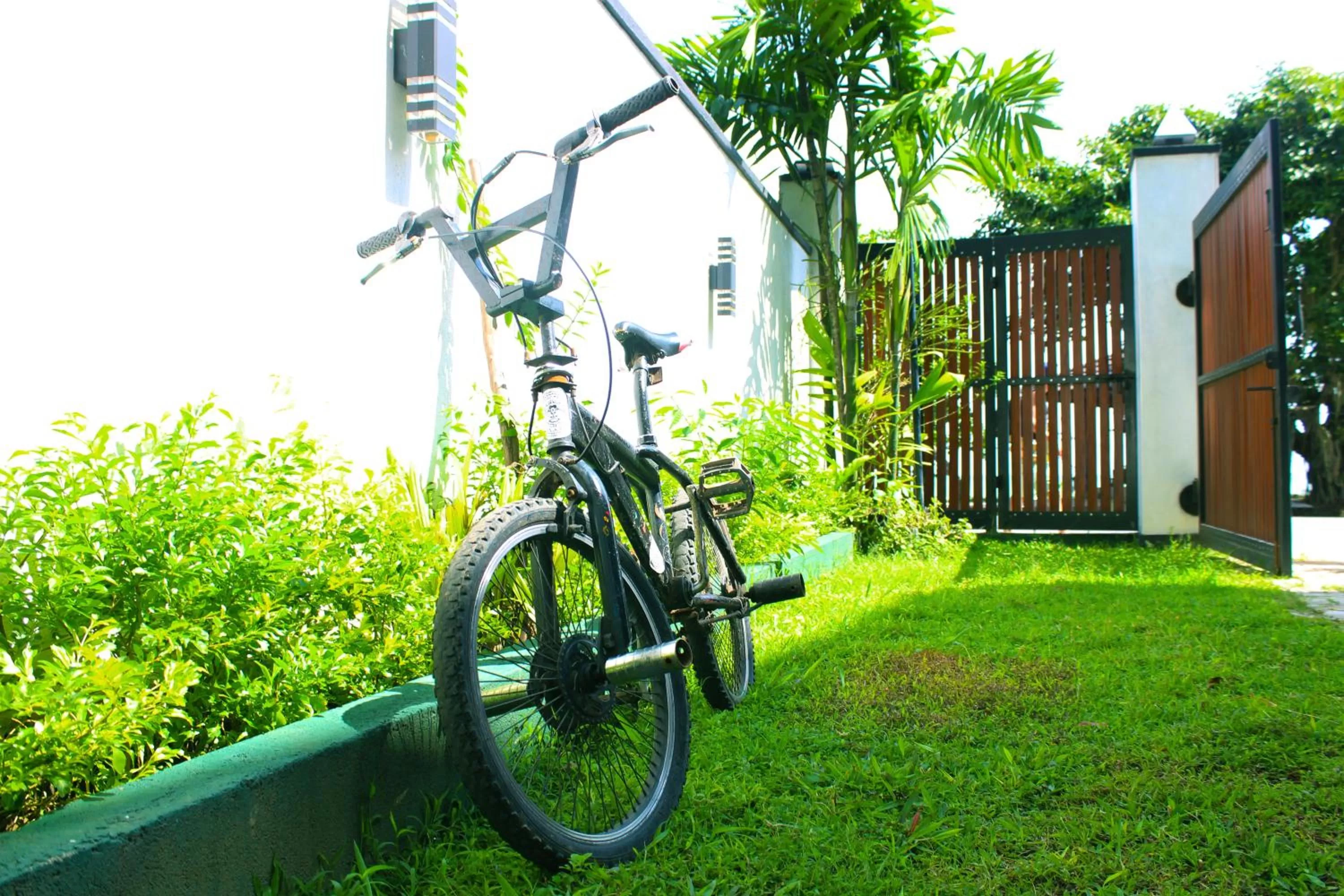 Garden in Surasa Beach Resort