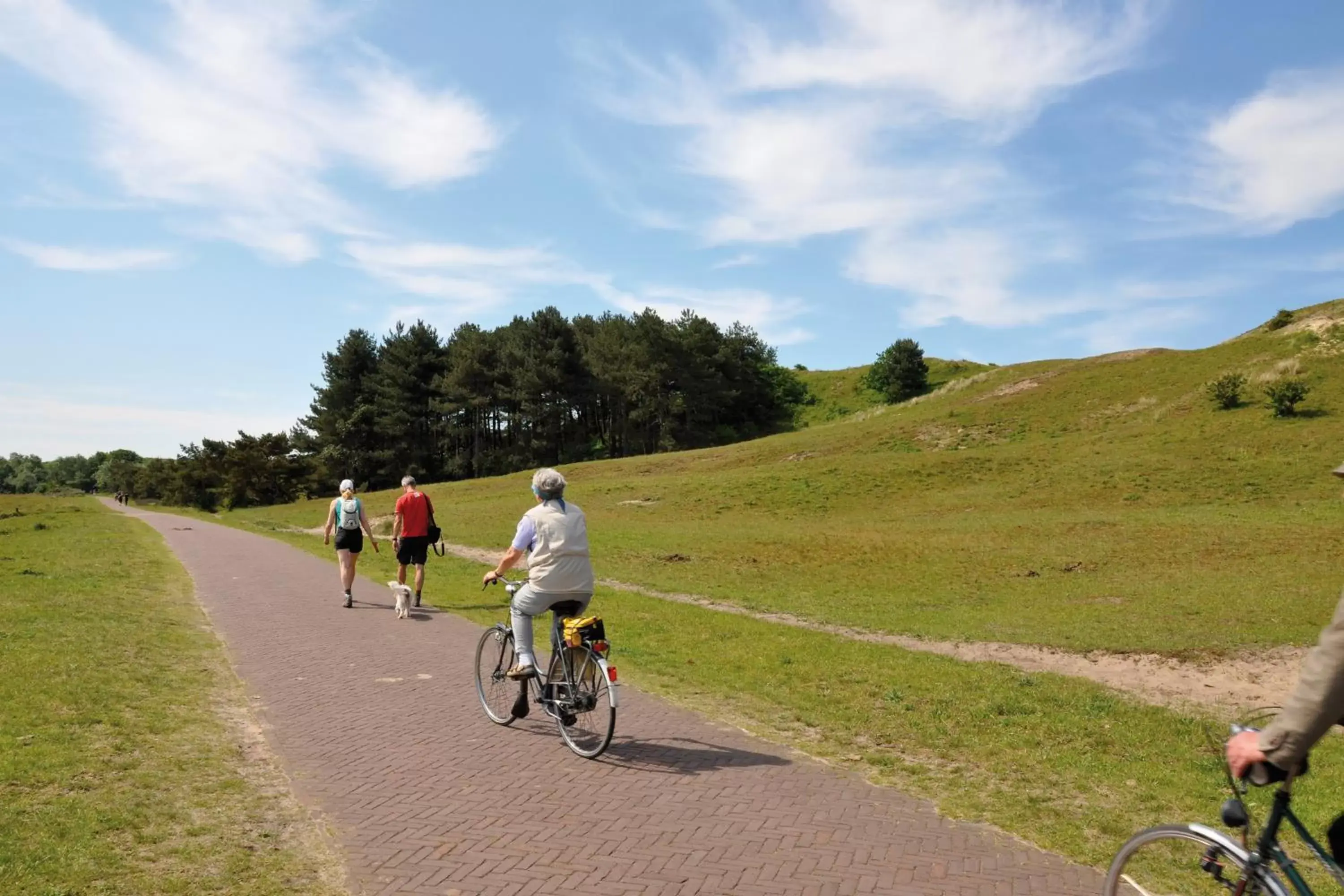 Area and facilities, Biking in Hotel De Boei