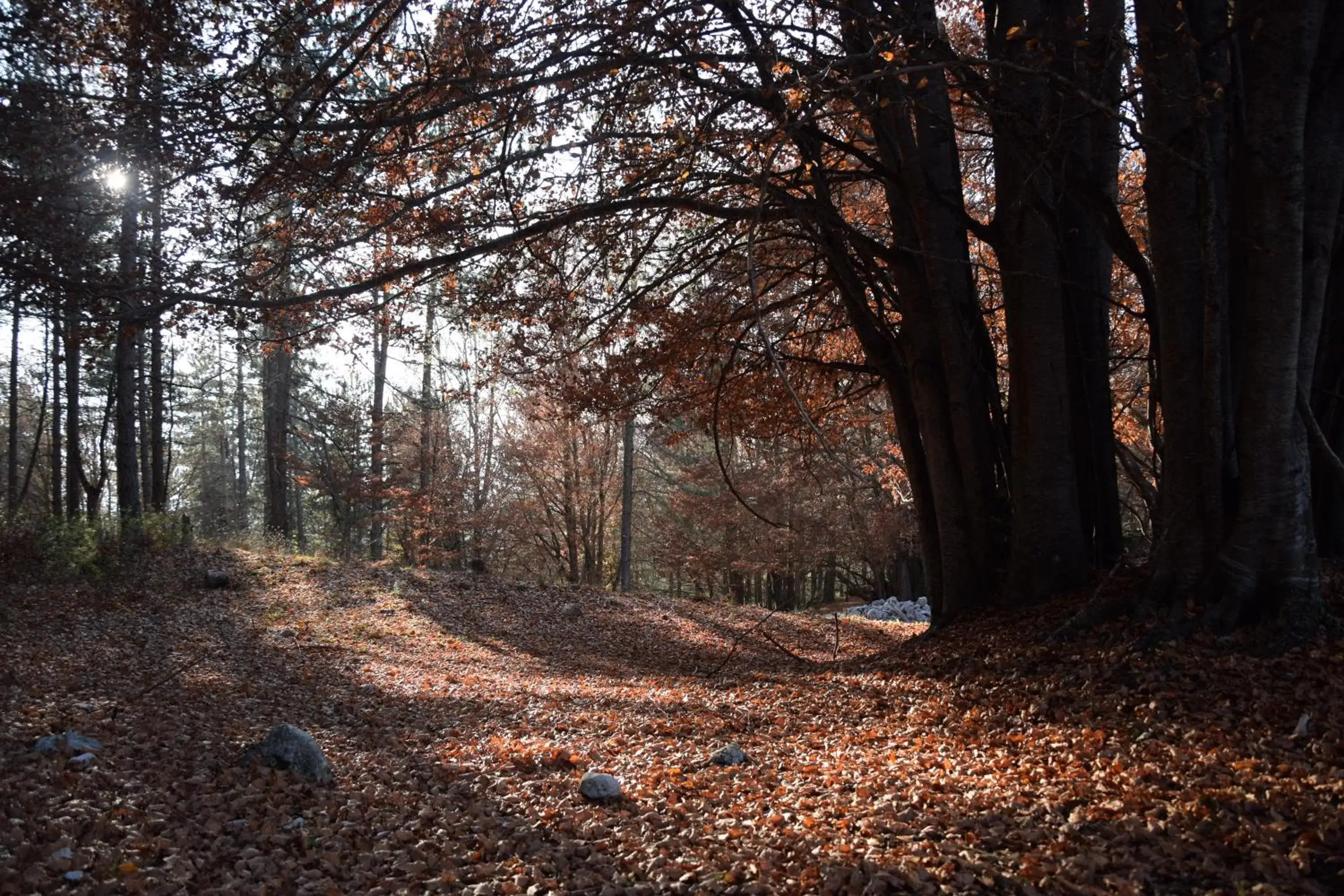 Natural landscape in LH Albergo Il Picchio