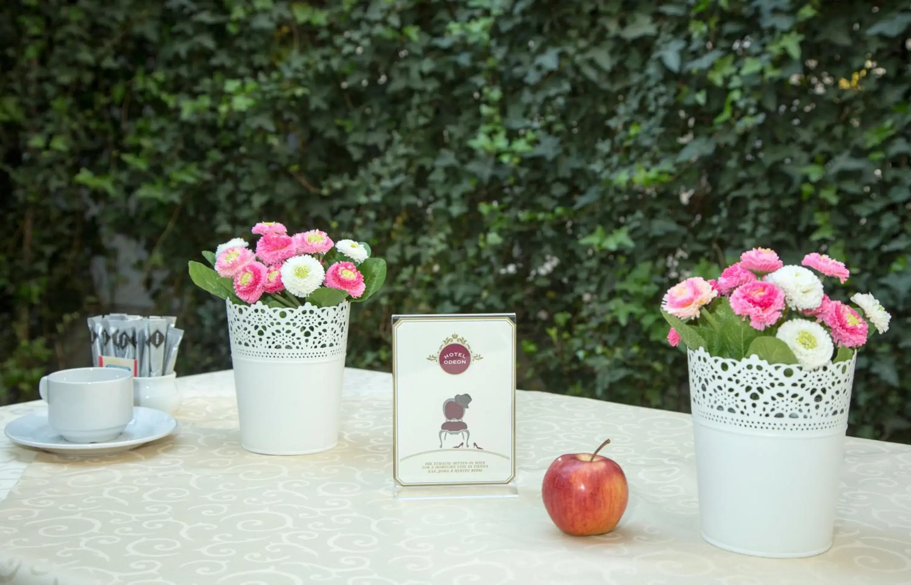 Garden in Hotel Odeon