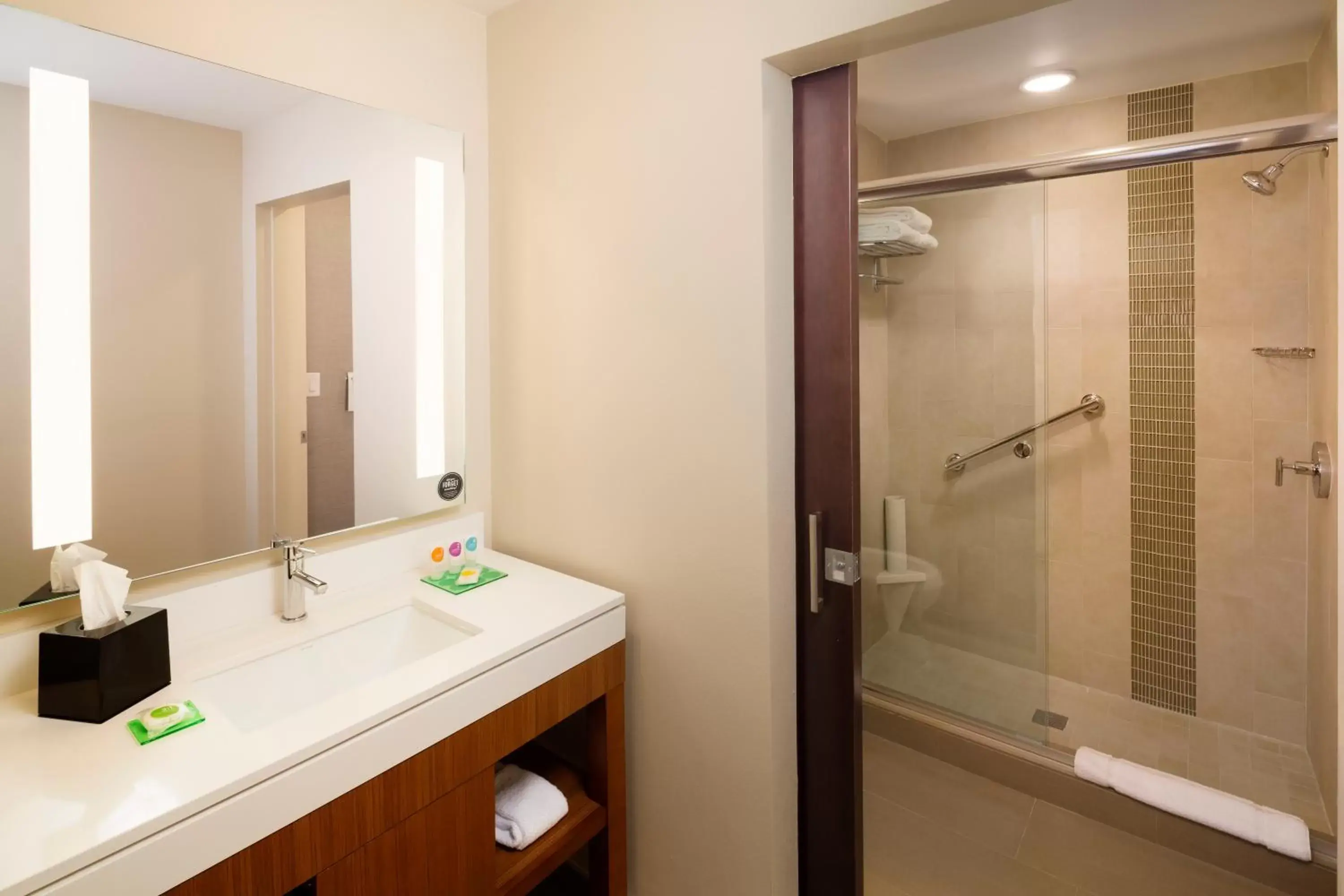 Shower, Bathroom in Hyatt Place Lubbock