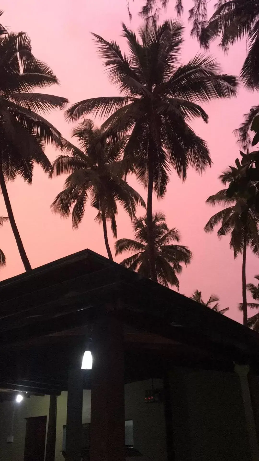 Restaurant/places to eat in OmBodhi Retreat Restaurant/places to eat in OmBodhi Retreat