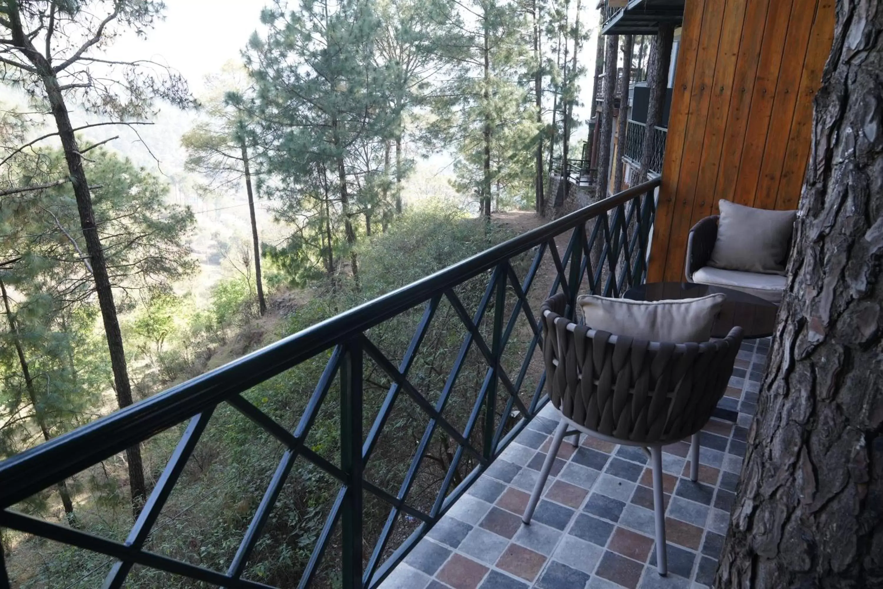 Balcony/Terrace in Kasauli Hills Resort