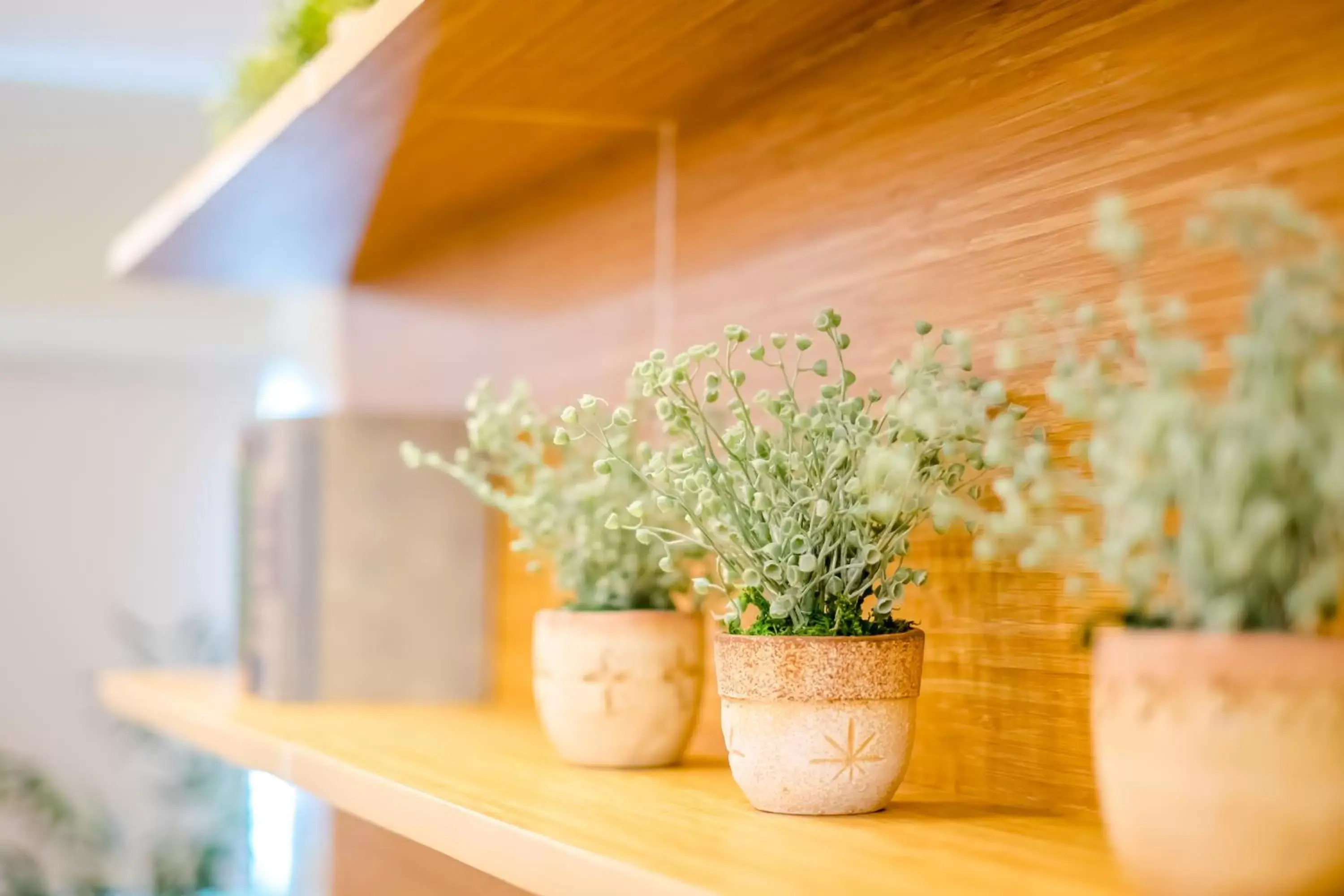 Property building in Bridge Hotel Property building in Bridge Hotel