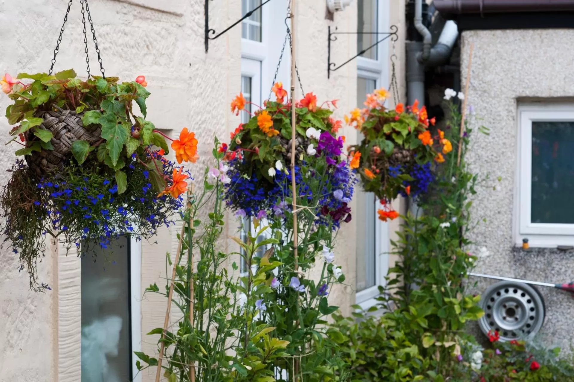 Dean Park Guest House