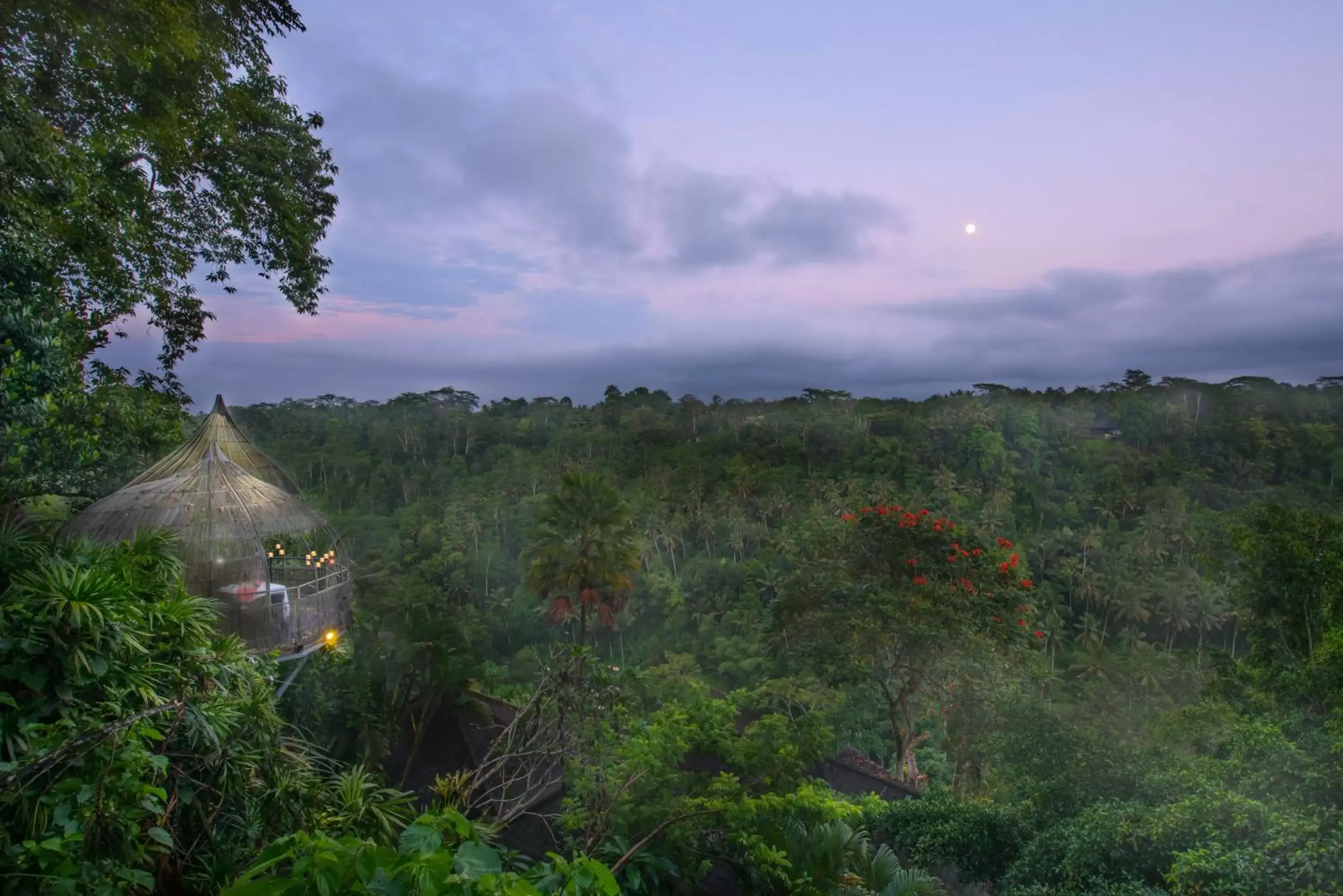 Mountain view, Neighborhood in Kupu Kupu Barong Villas and Tree Spa by L’OCCITANE