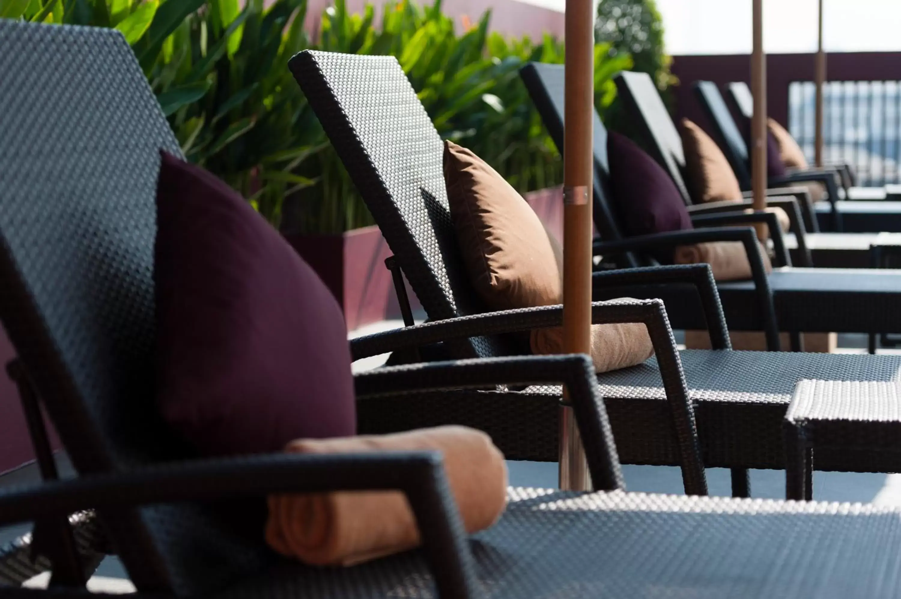 Lounge or bar, Restaurant/Places to Eat in Casa Nithra Bangkok