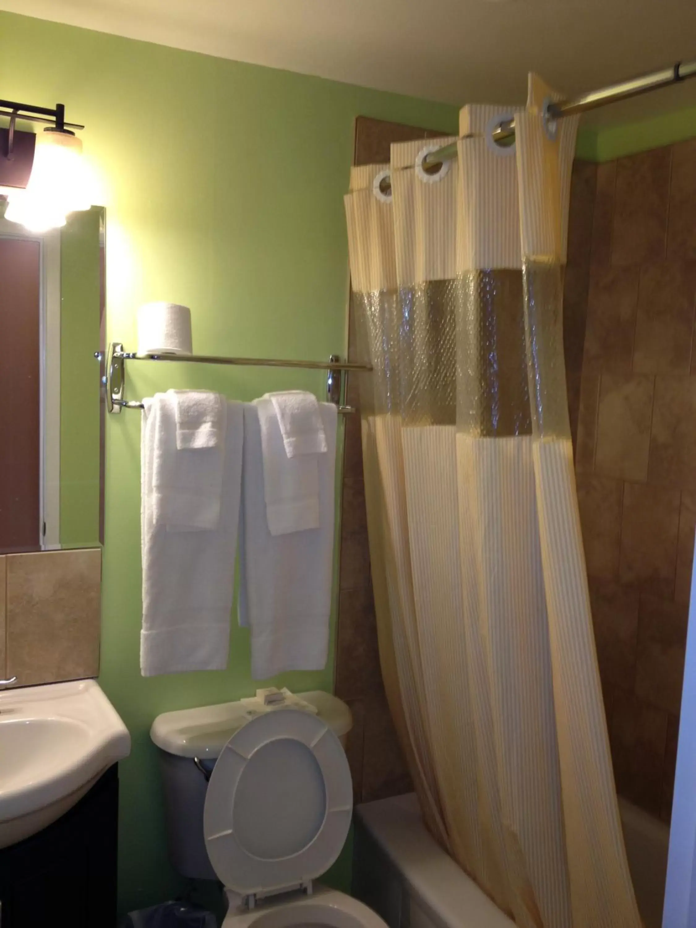 Bathroom in Midtown Motel & Suites