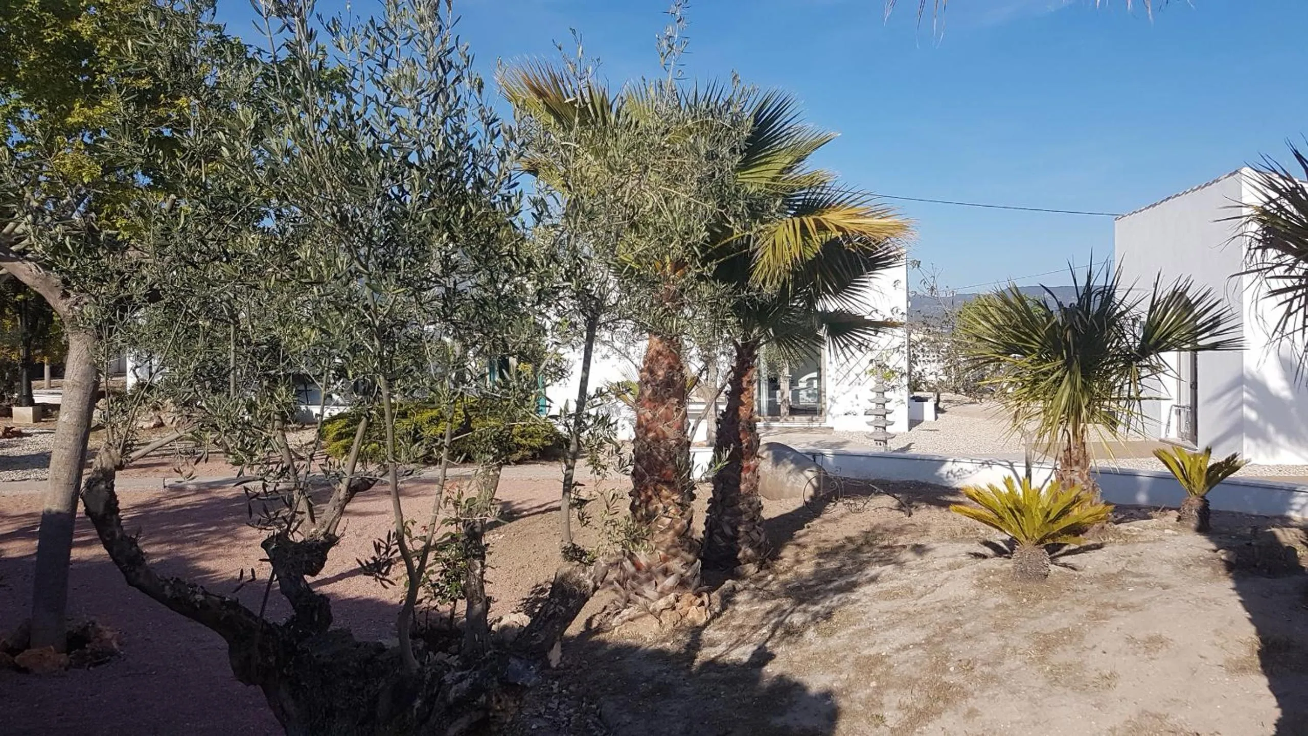 Property building in Artmonia