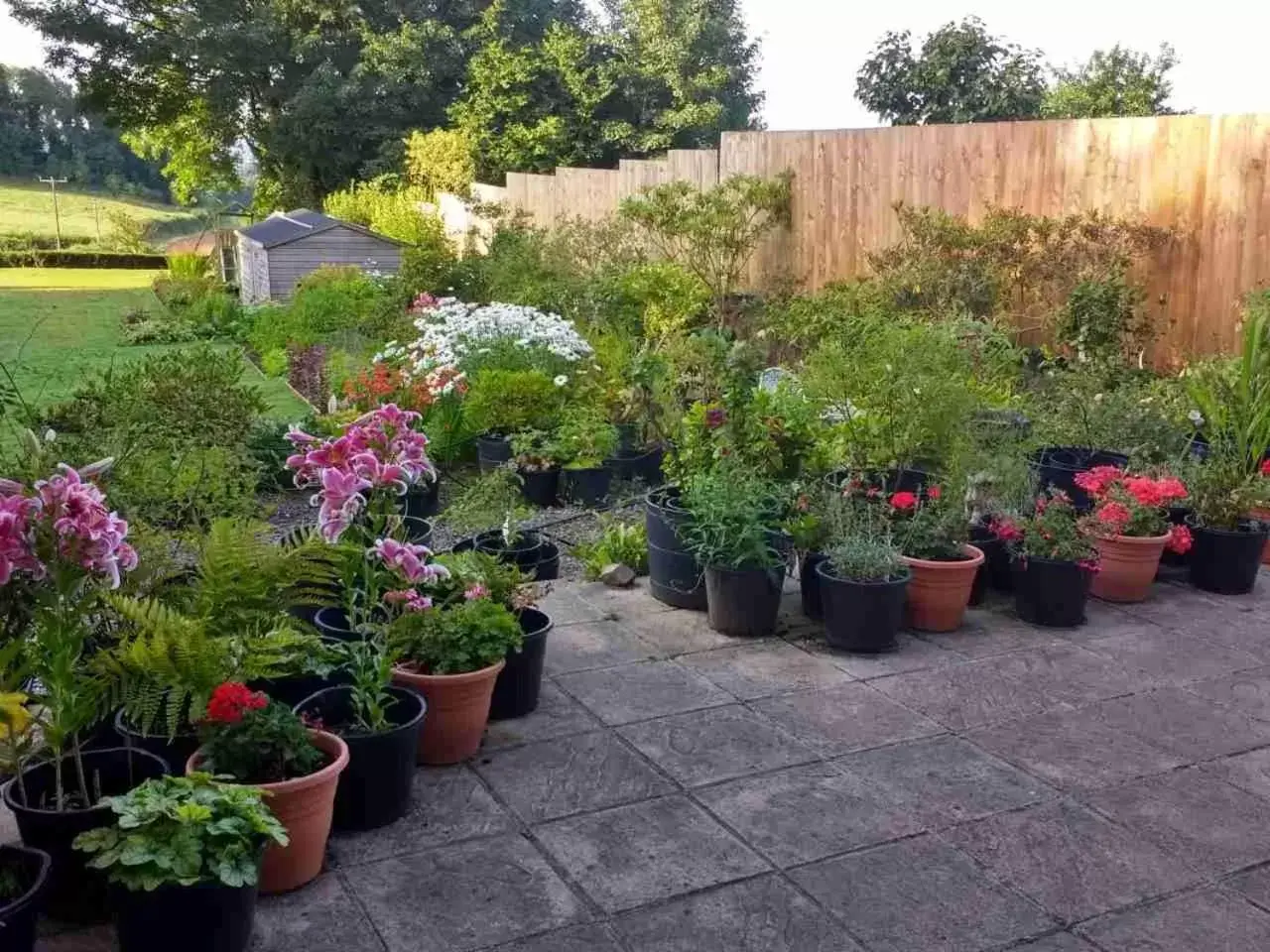 Garden in Brambles Bed and Breakfast