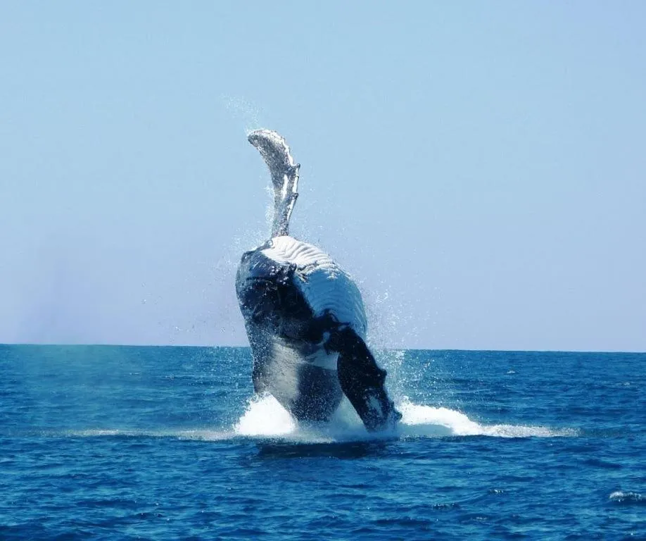 Day in Ningaloo Lodge Exmouth