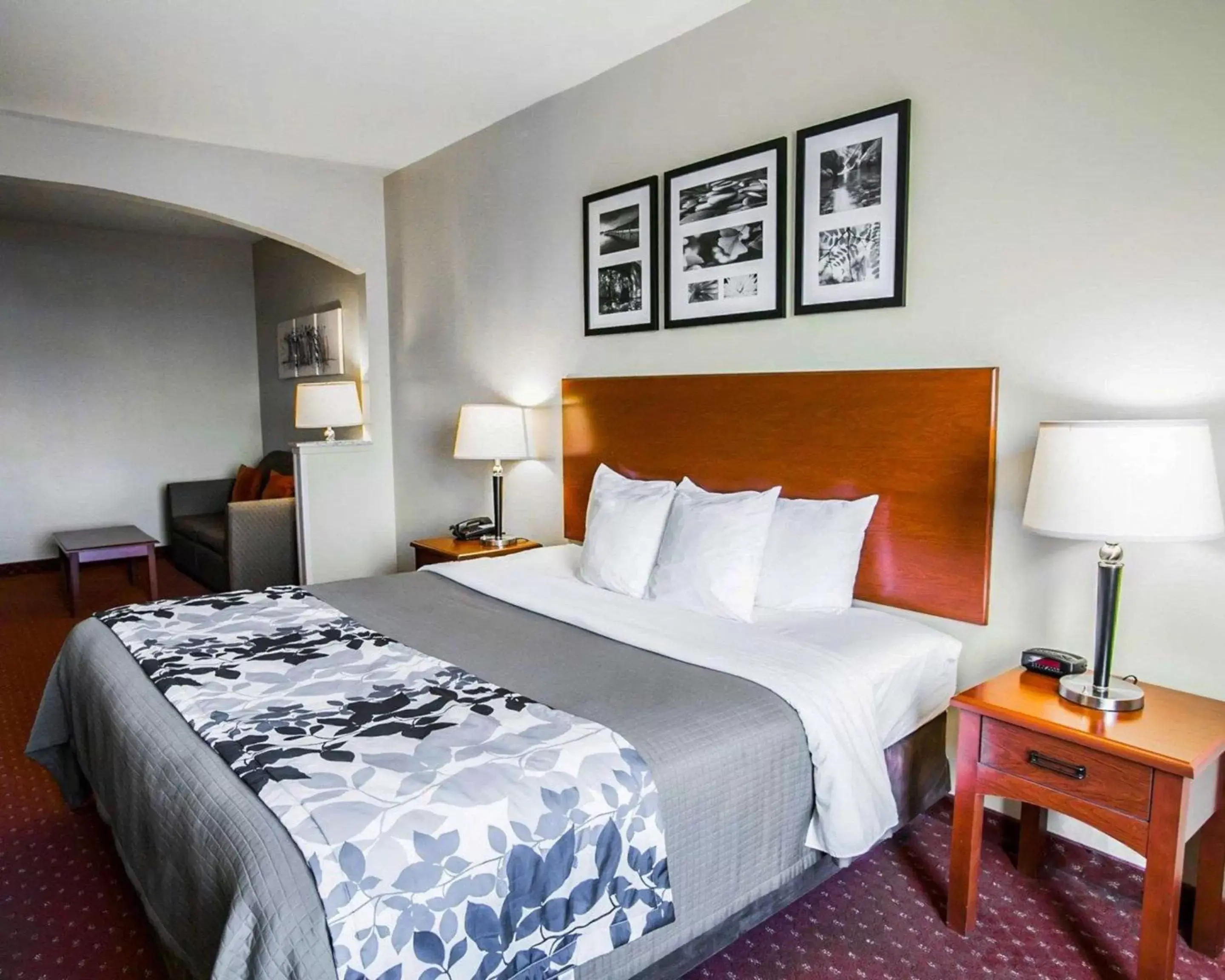 Photo of the whole room, Bed in Sleep Inn & Suites New Braunfels