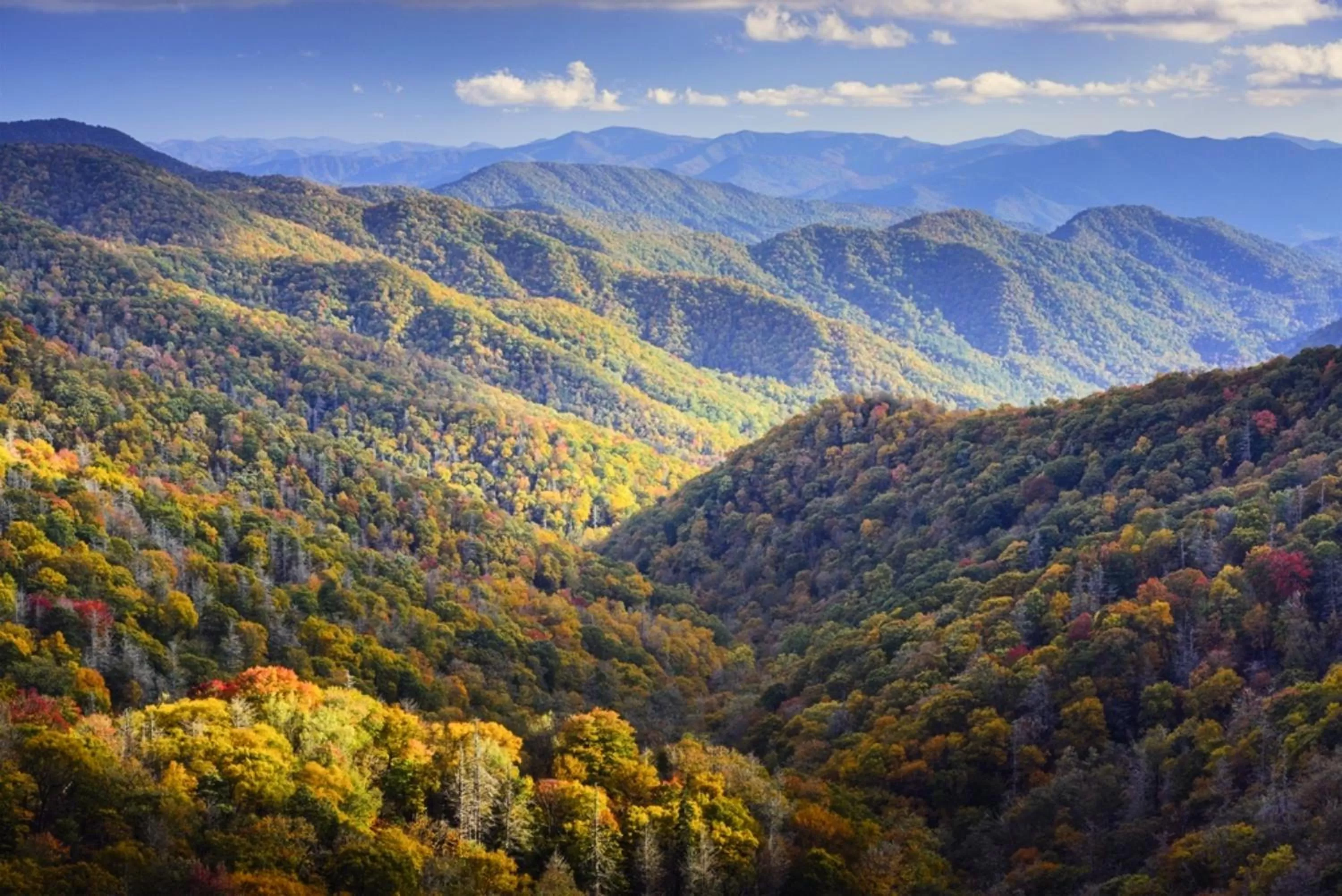 Nearby landmark in Baymont by Wyndham Jackson