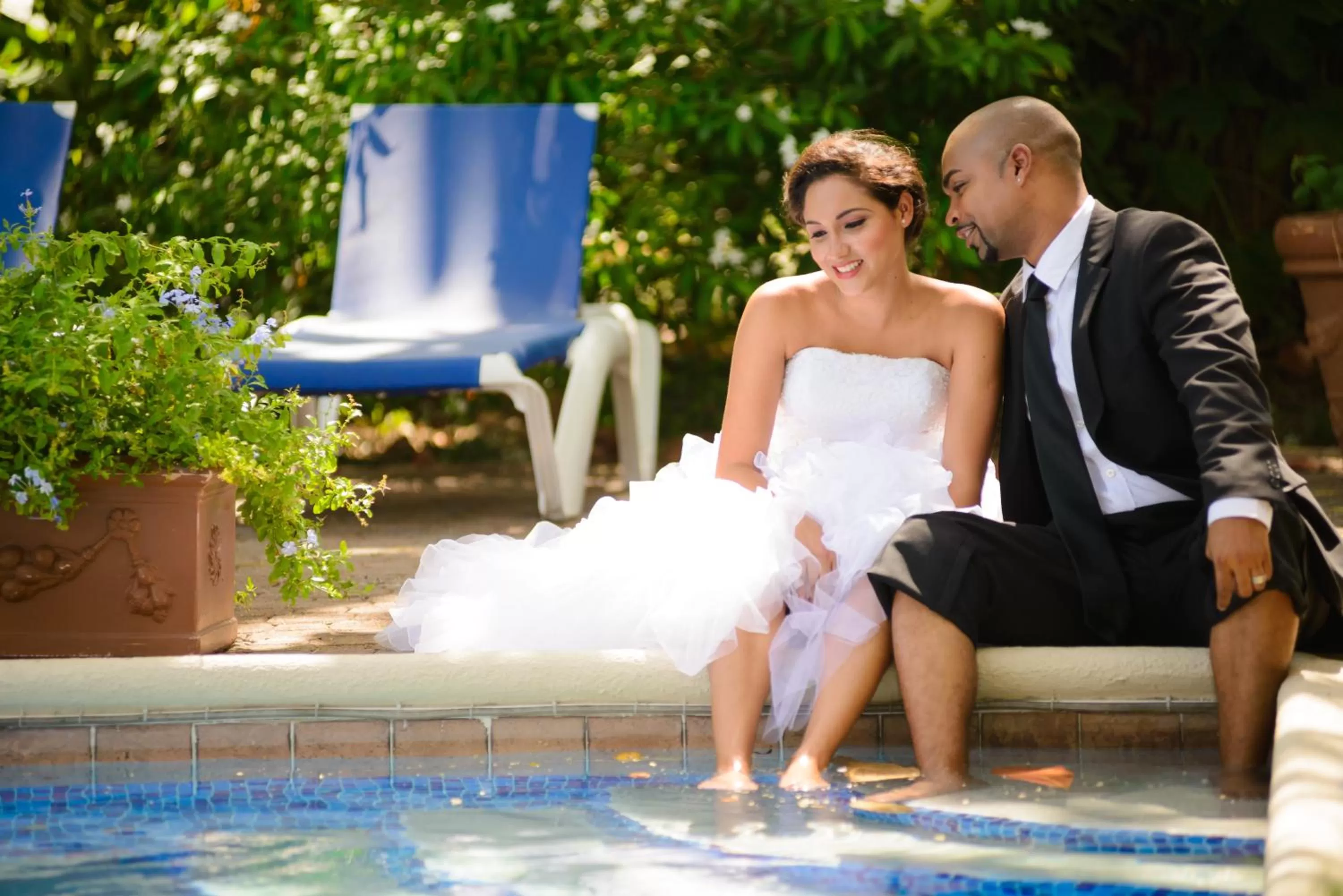 Guests in Terra Nova, BW Premier Collection