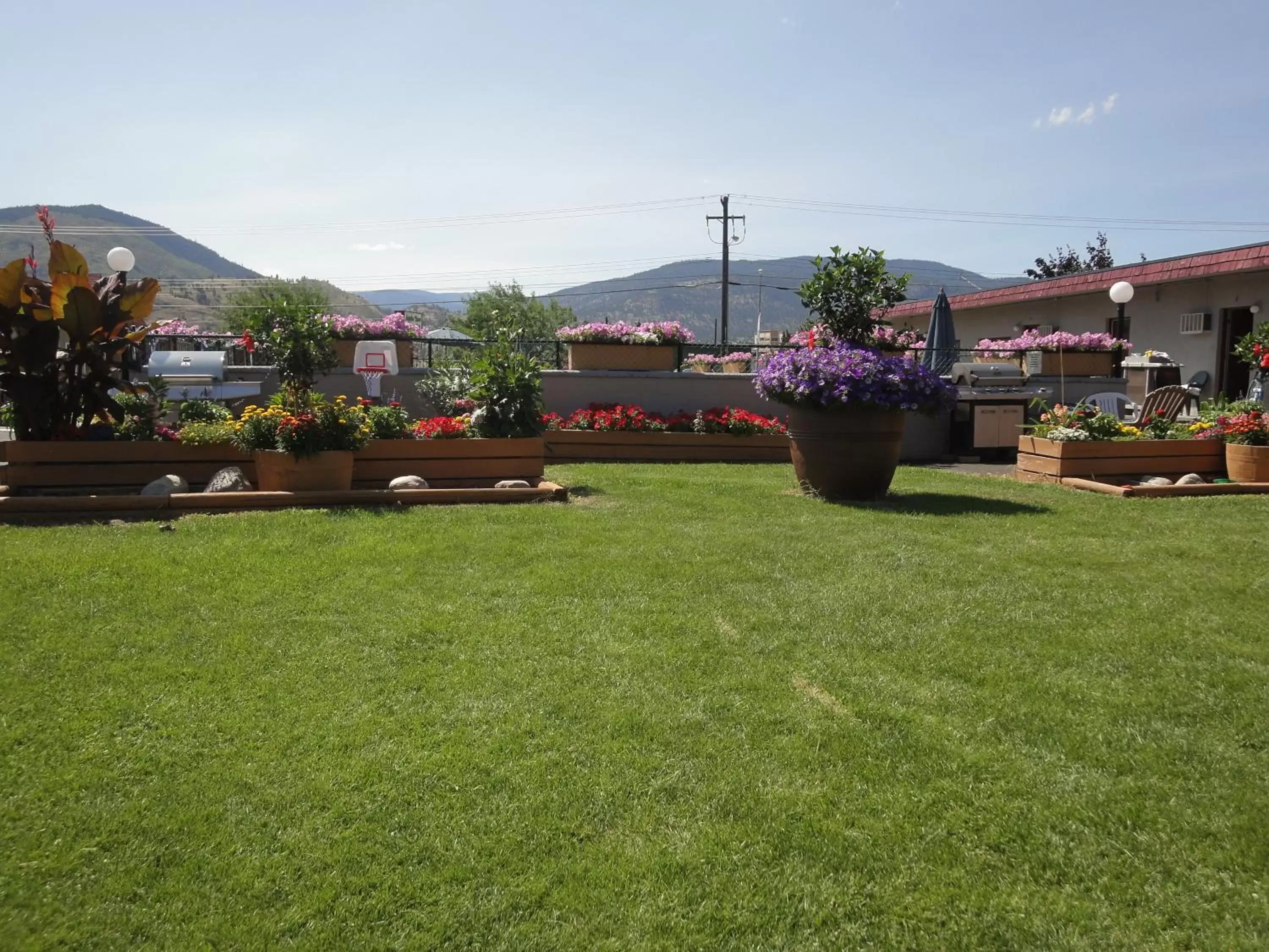 Garden in Apple Tree Inn