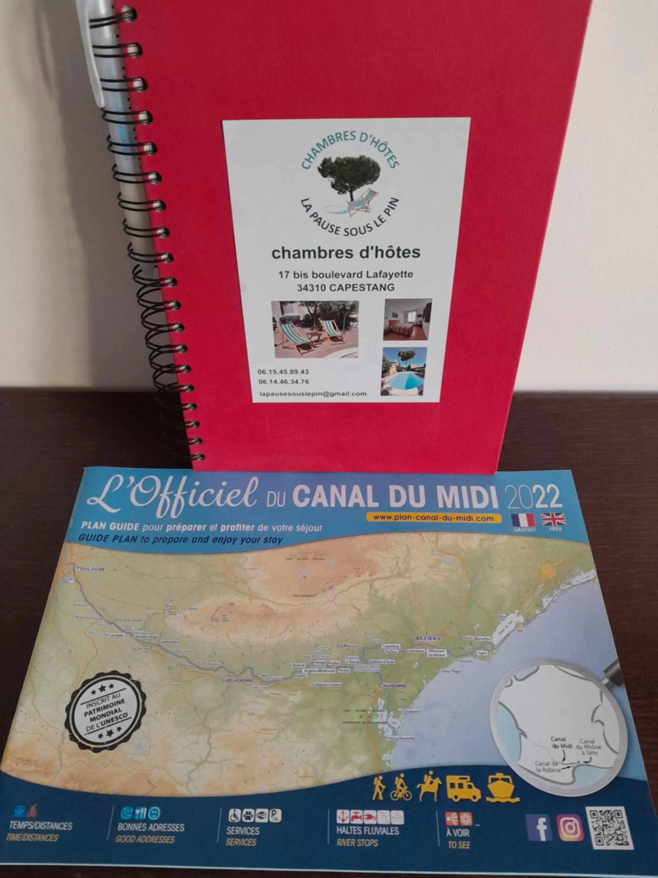 La pause sous le pin