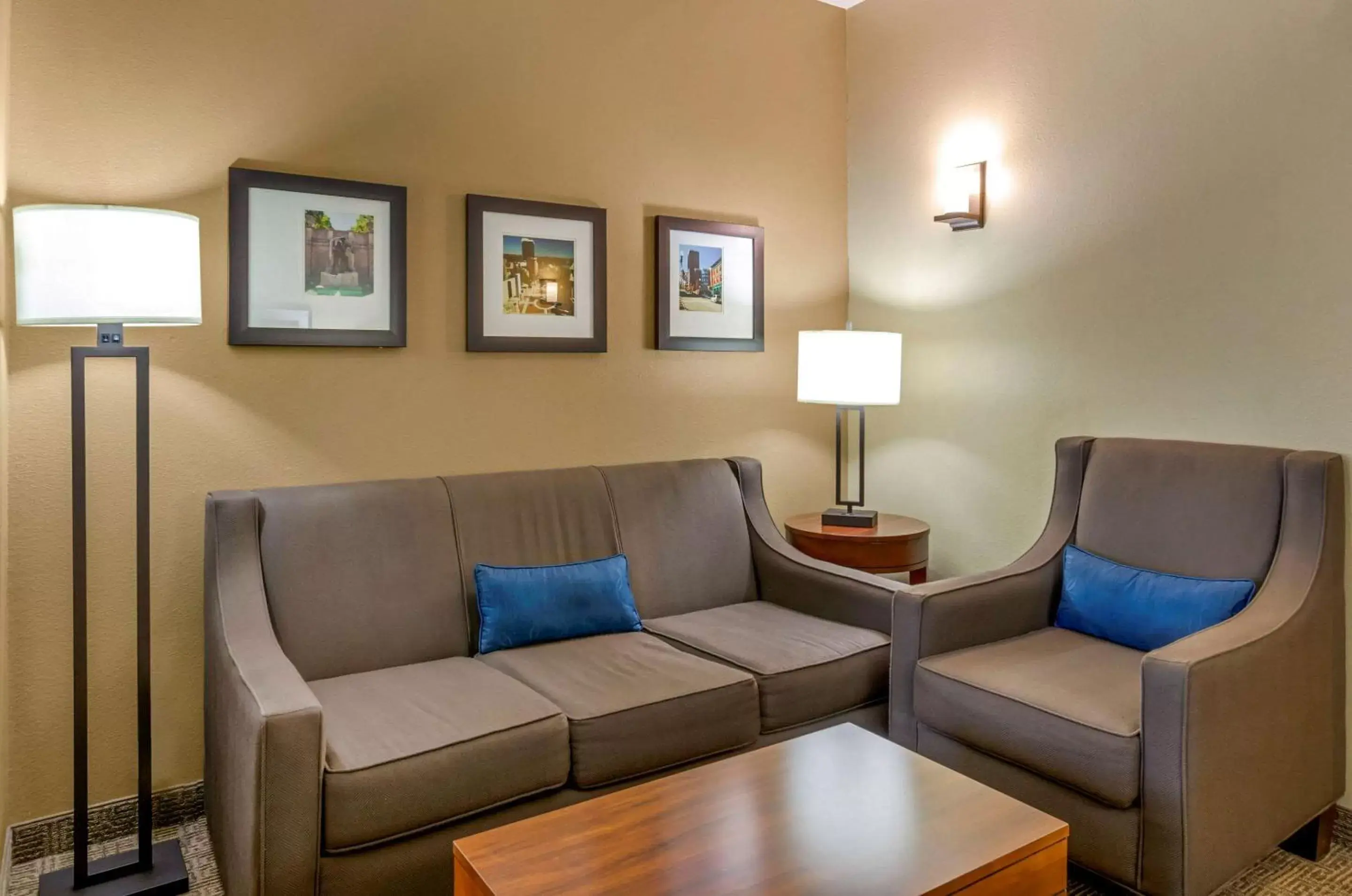 Photo of the whole room, Seating Area in Comfort Inn & Suites Lynchburg Airport - University Area
