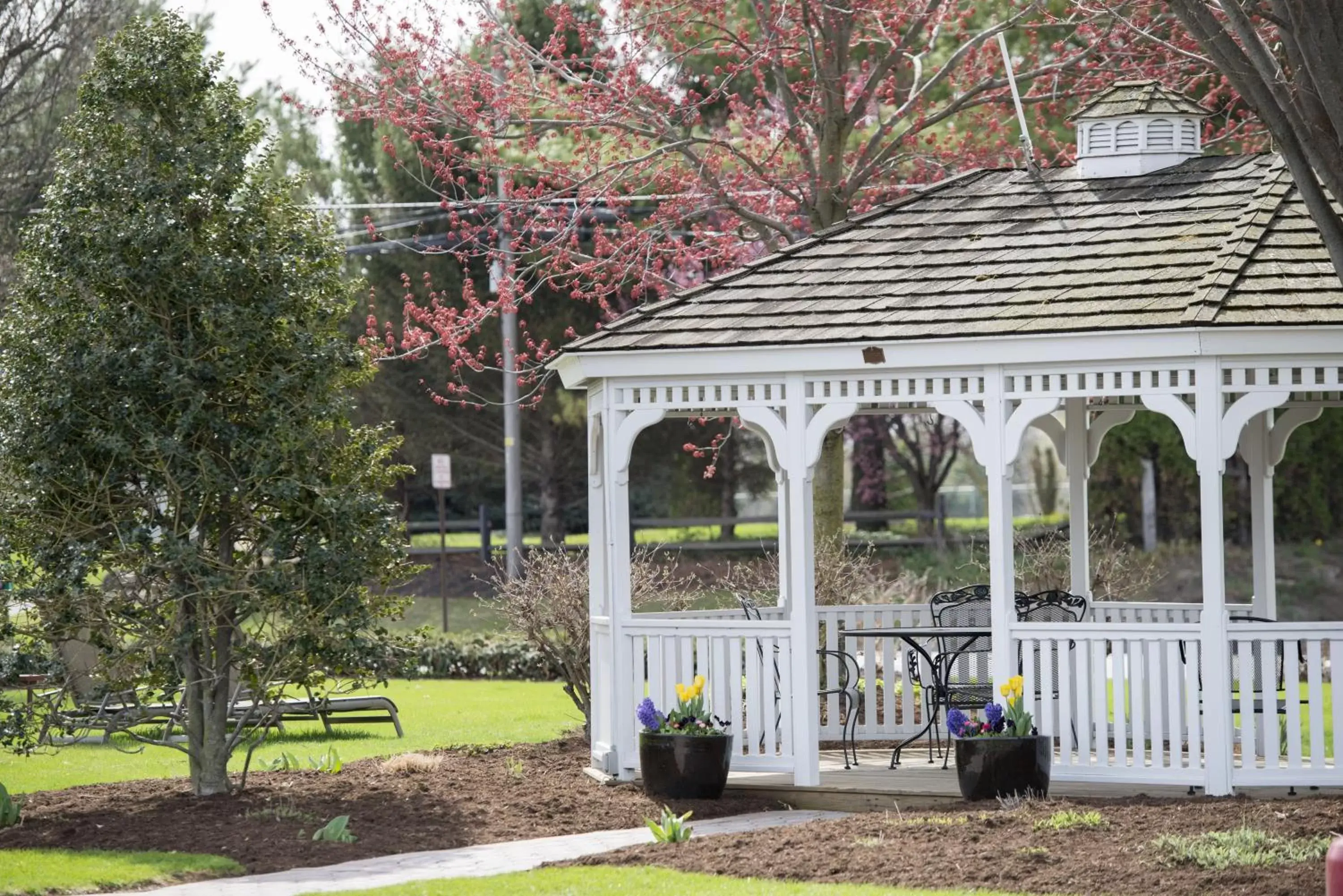 Patio, Property Building in Travelers Rest Motel