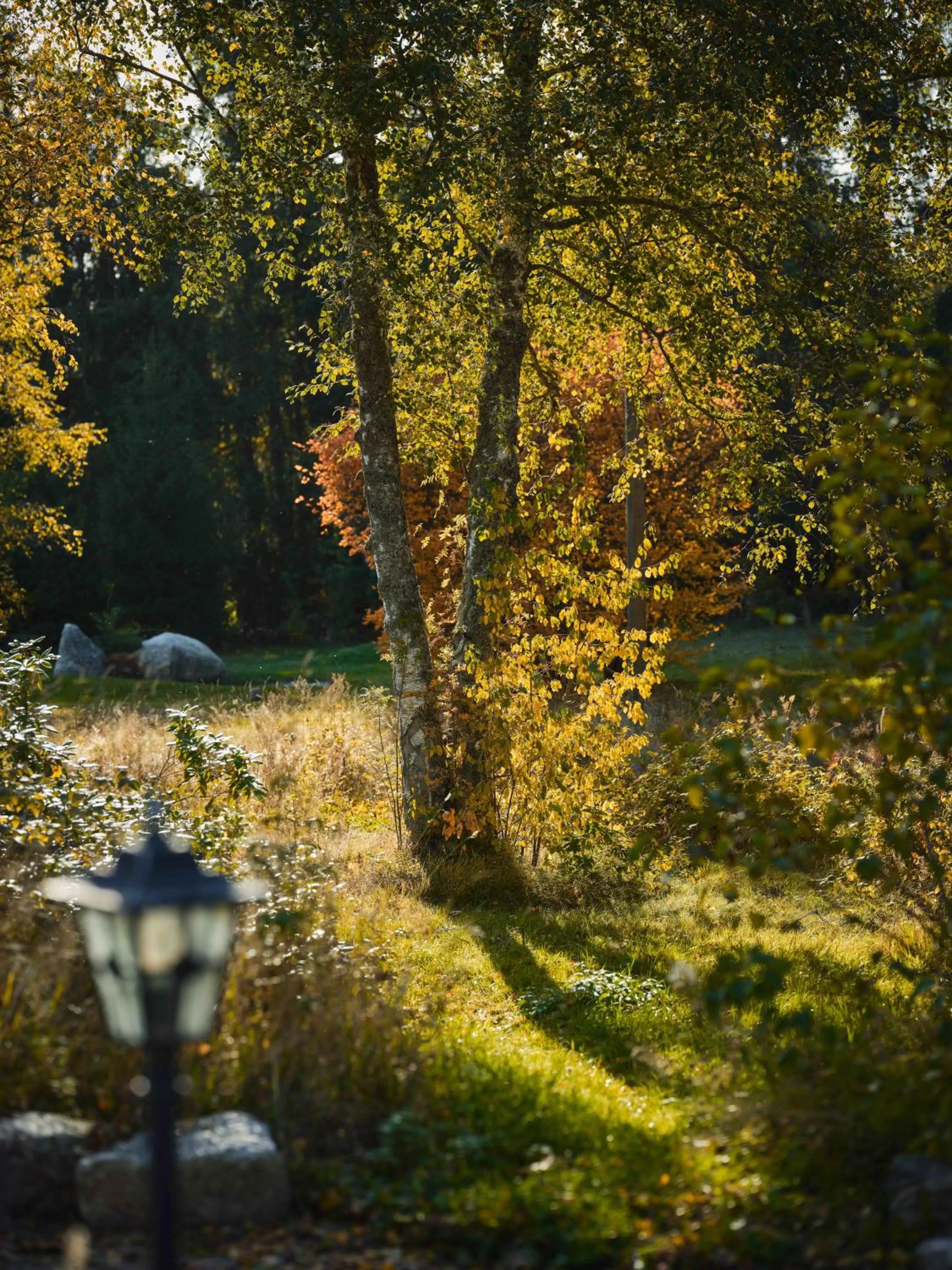 Garden in Boutique Hotel Mühle Schluchsee