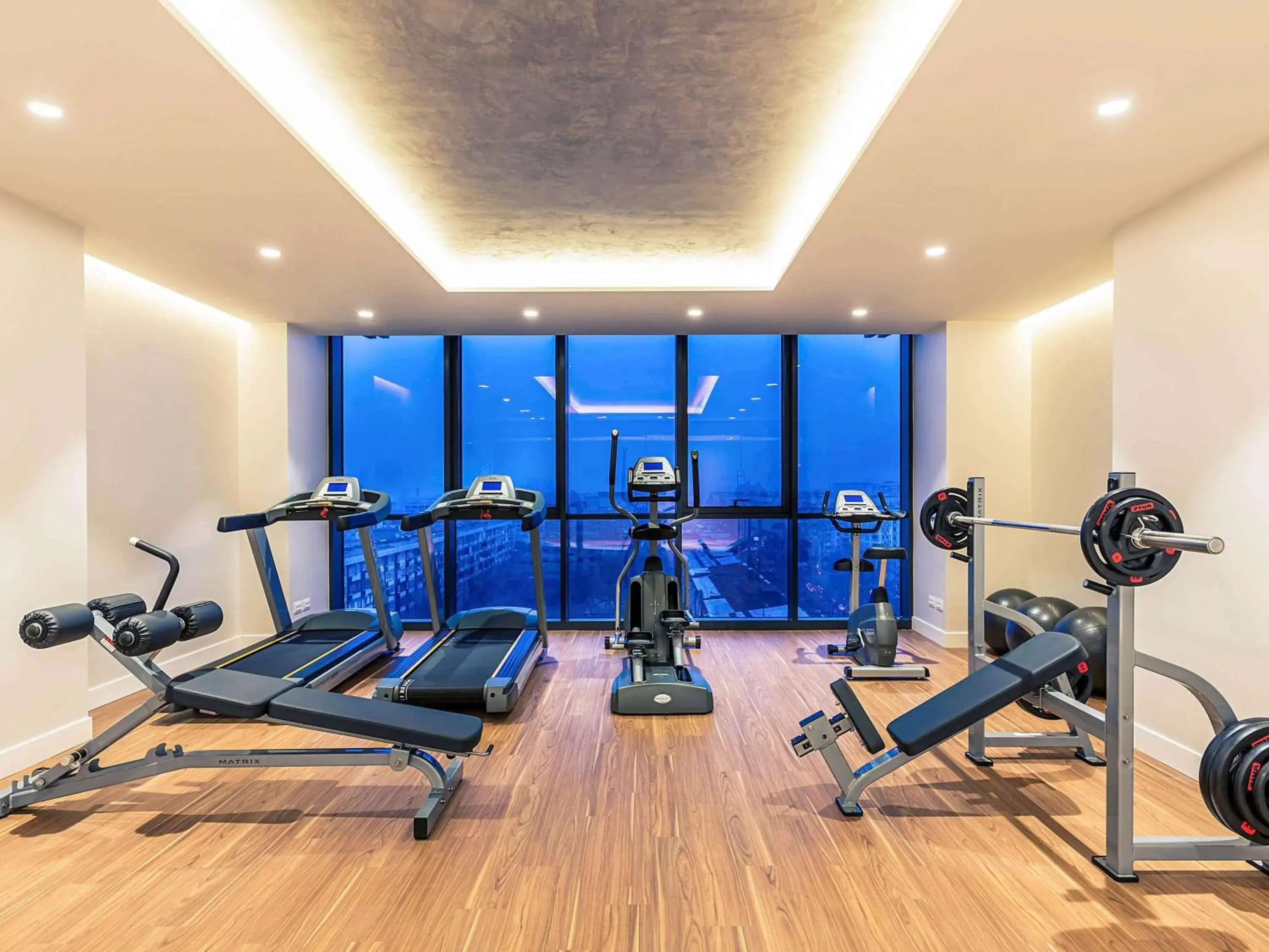 Fitness centre/facilities, Fitness Center/Facilities in Mercure Almaty City Center