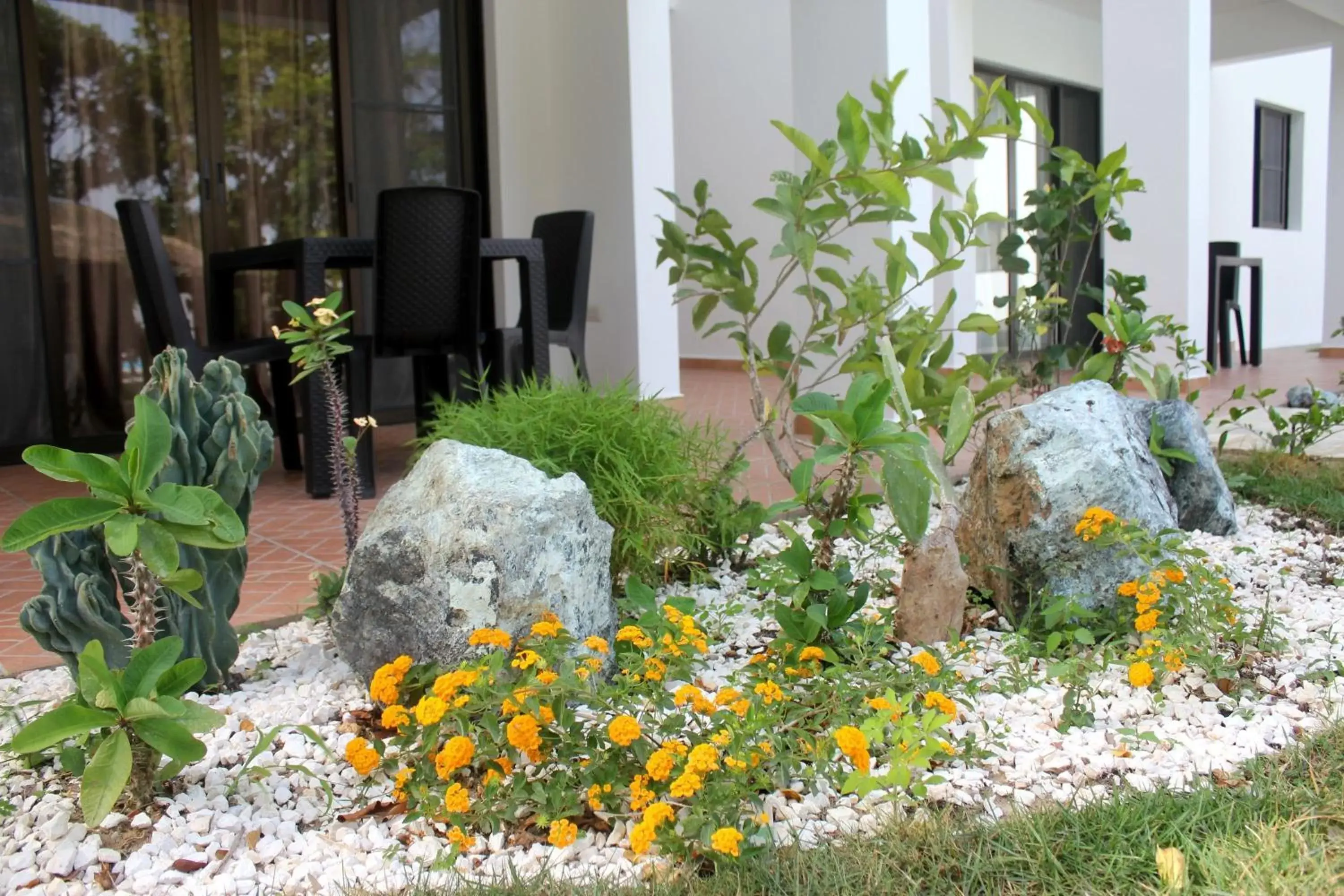 Garden in Coral Blanco Hotel