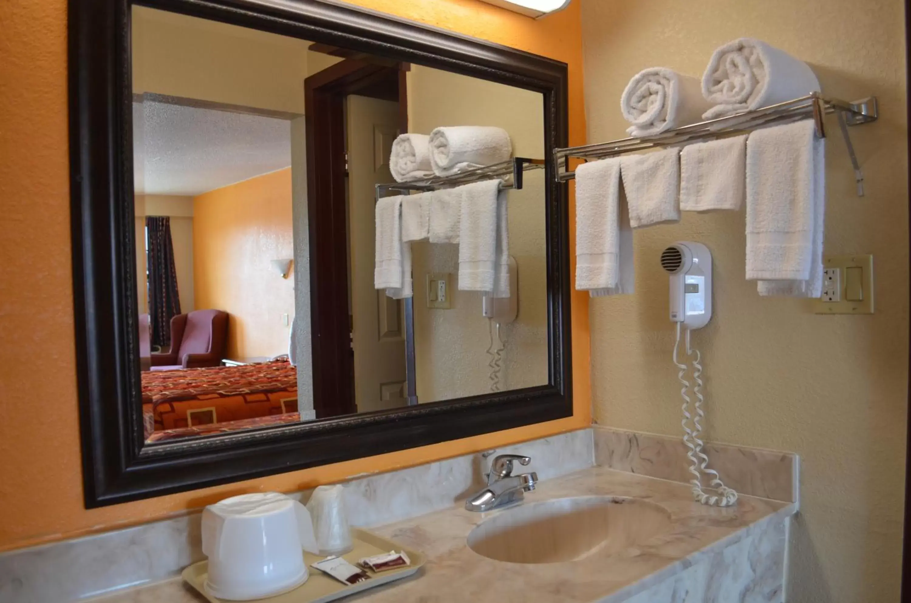 Bathroom, Coffee/Tea Facilities in Royal Inn Greenville