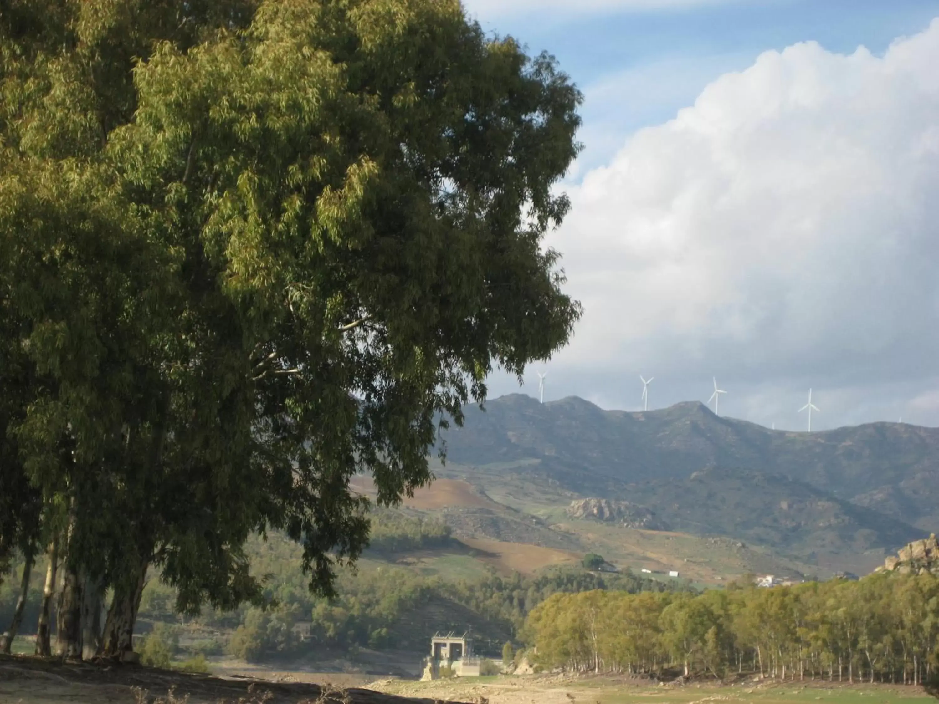 Natural Landscape in Oasi del Lago