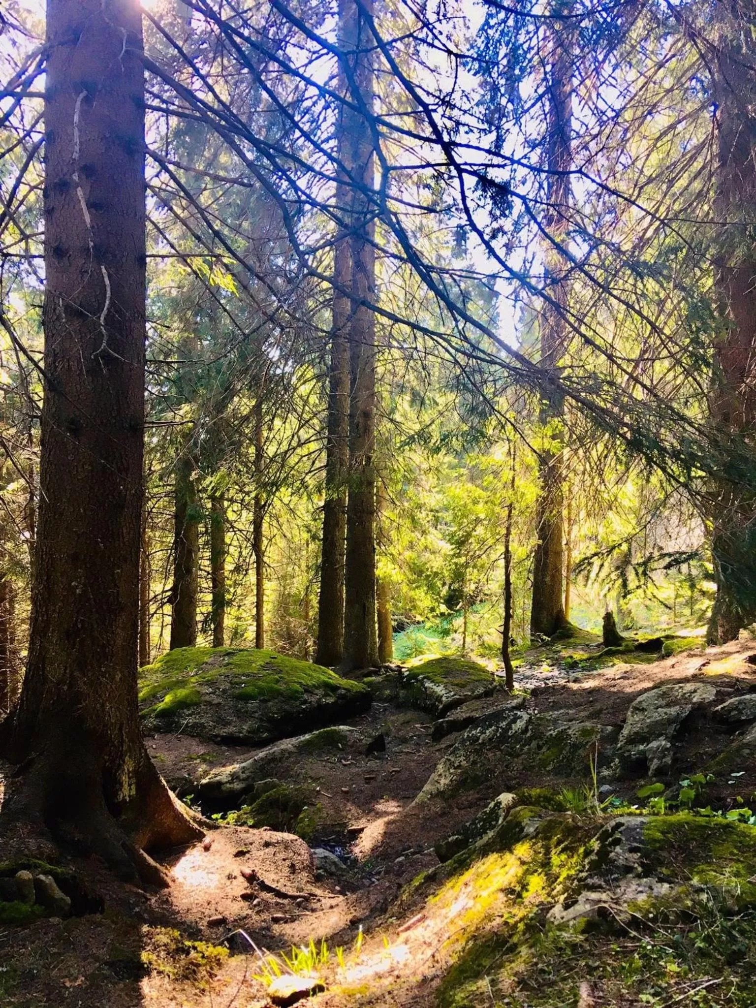 Nearby landmark in Montis Hotel & Spa