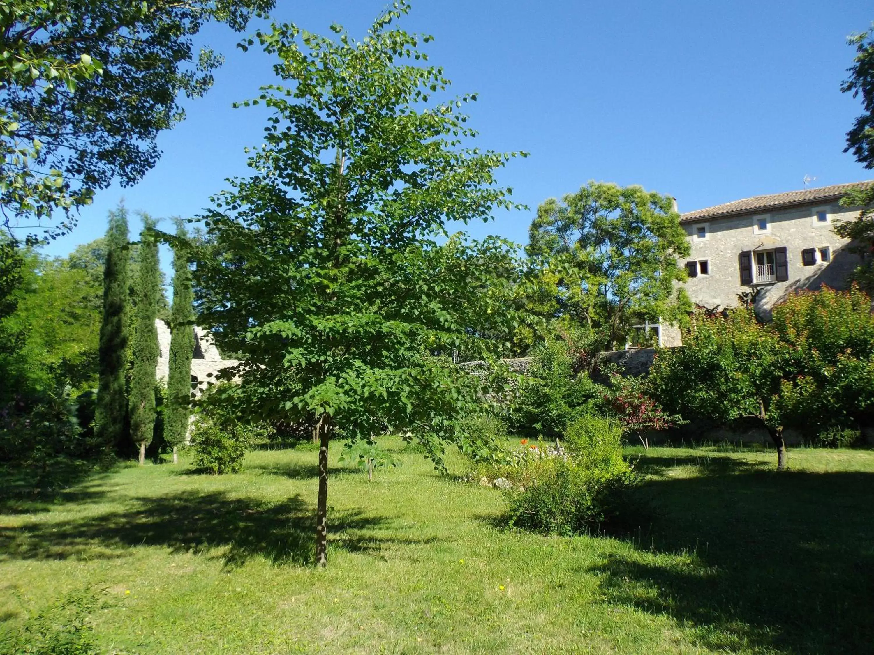 Garden in Logis des Magnans -Les terrasses du Coutach -