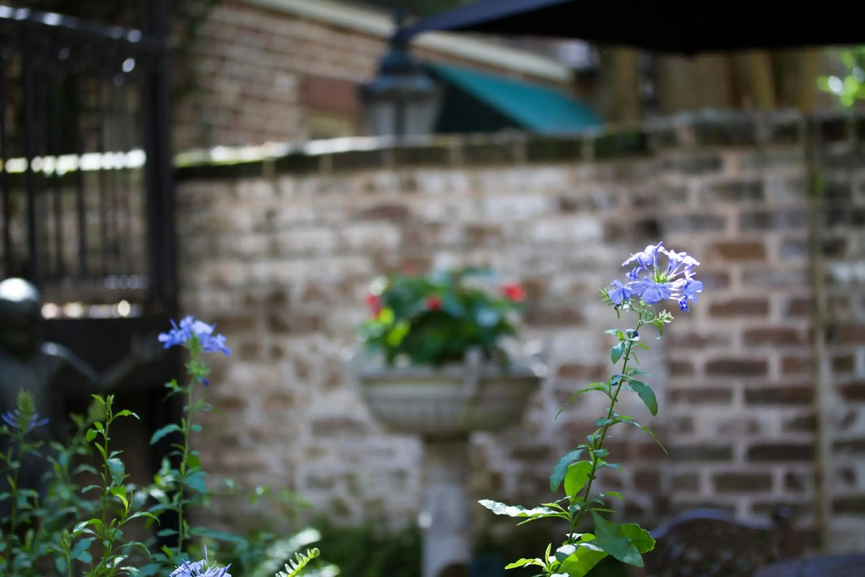 Garden in Eliza Thompson House, Historic Inns of Savannah Collection