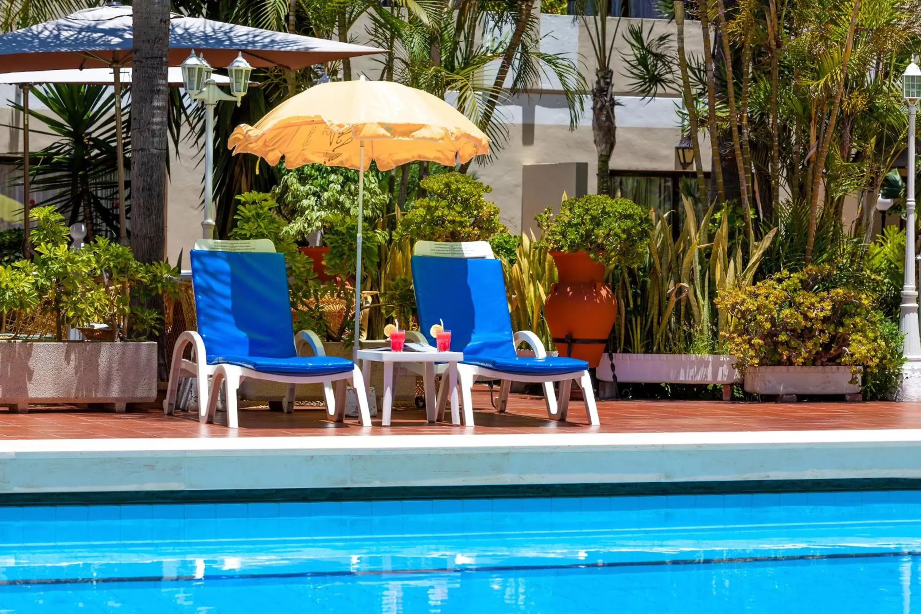 Swimming Pool in Hotel Don Manolito