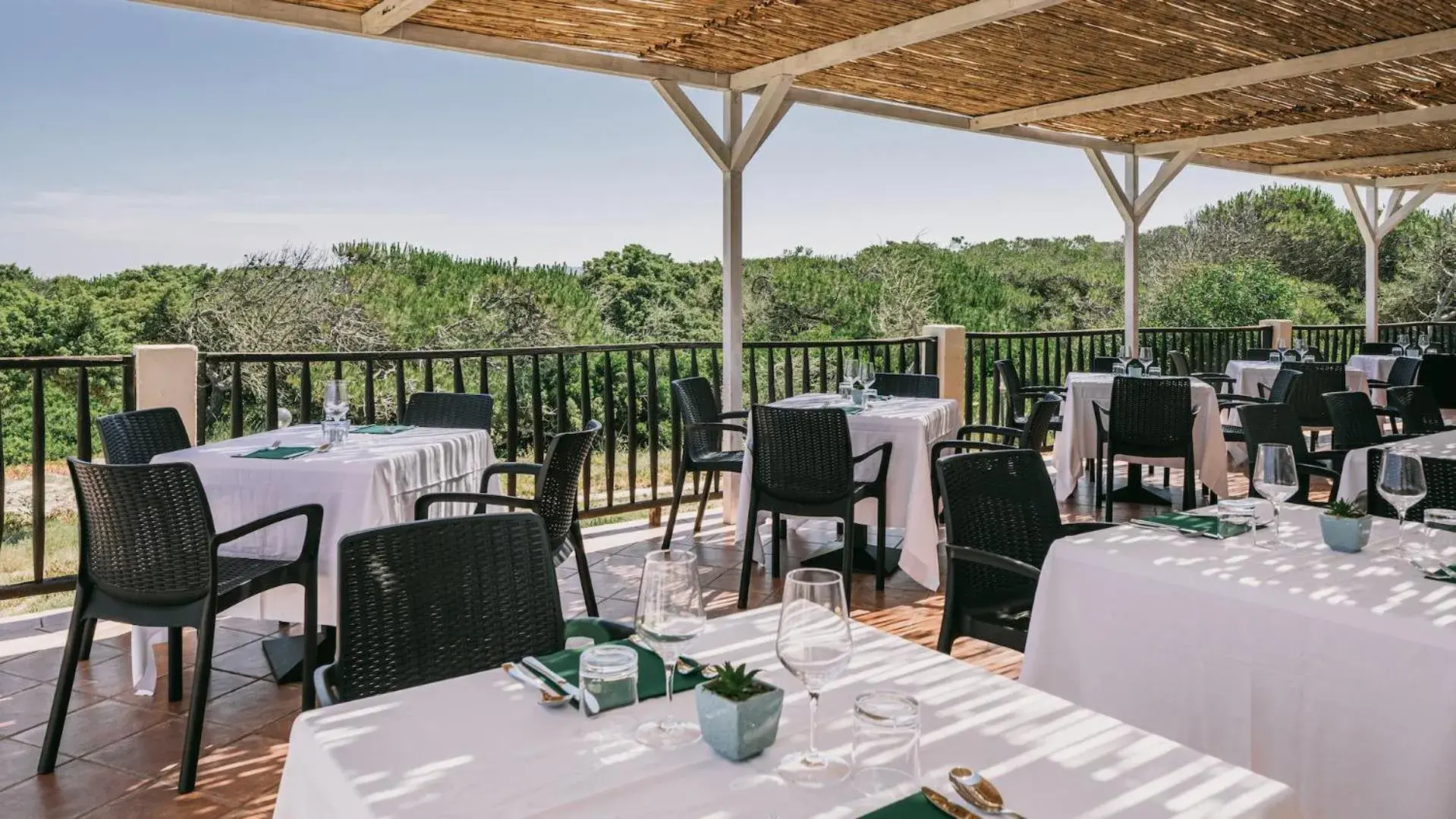 Restaurant/places to eat in MClub Del Golfo Restaurant/places to eat in MClub Del Golfo