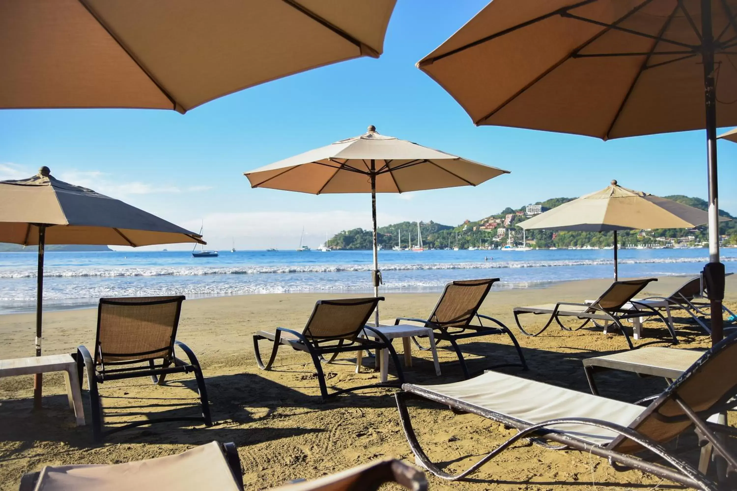 Beach, Swimming Pool in Arena Suites