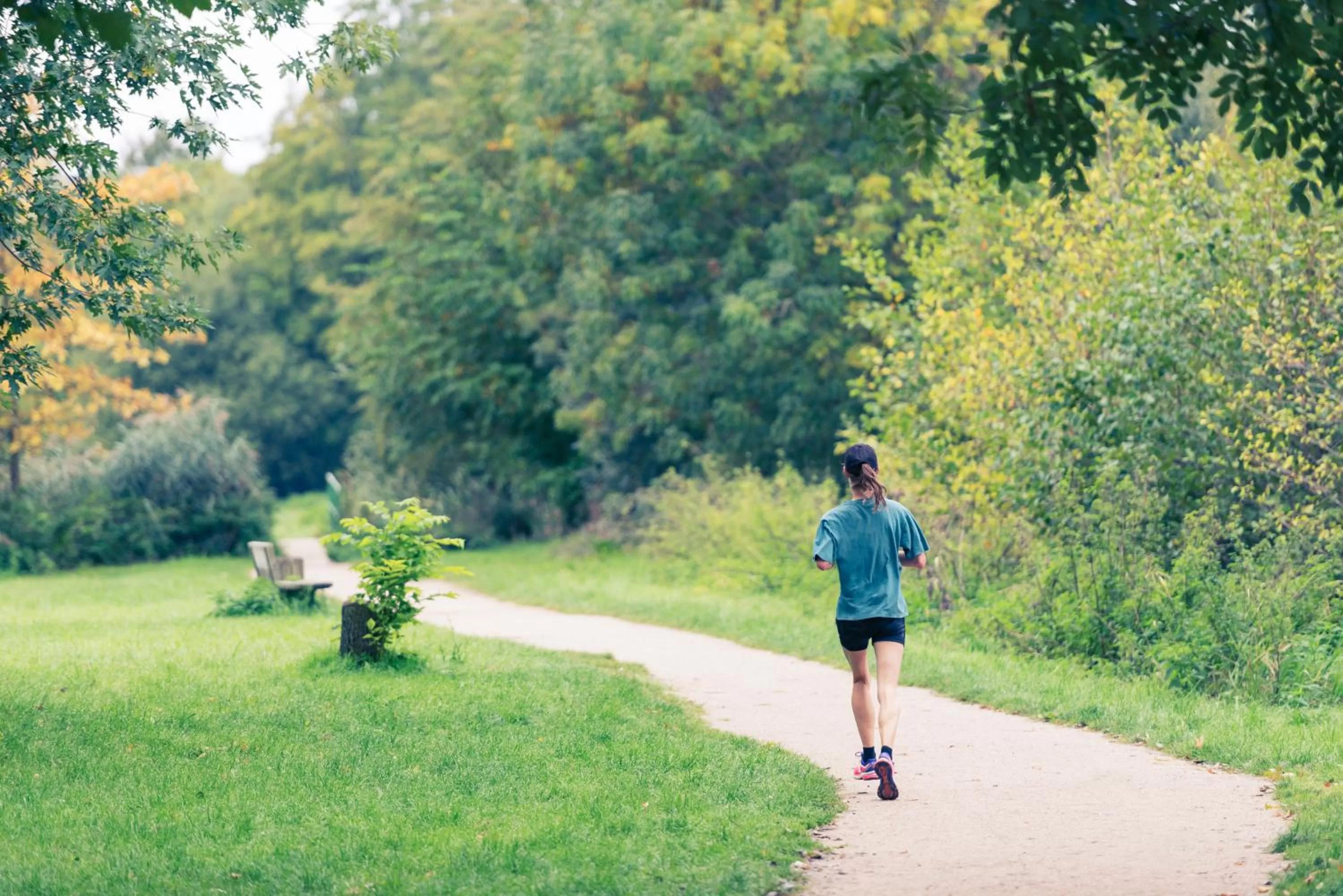 Activities in ibis Mulhouse Ile Napoleon