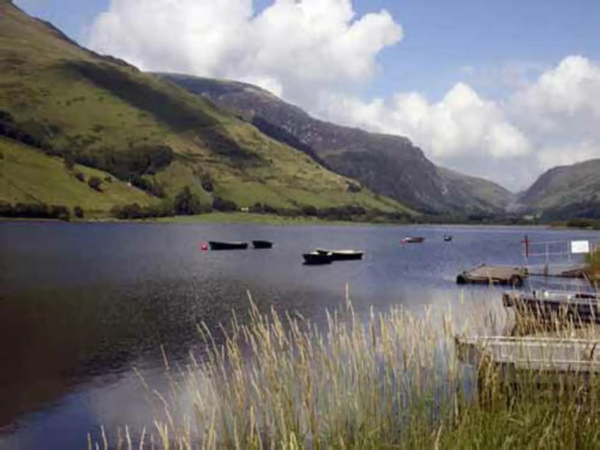 Natural landscape in Tynycornel Hotel